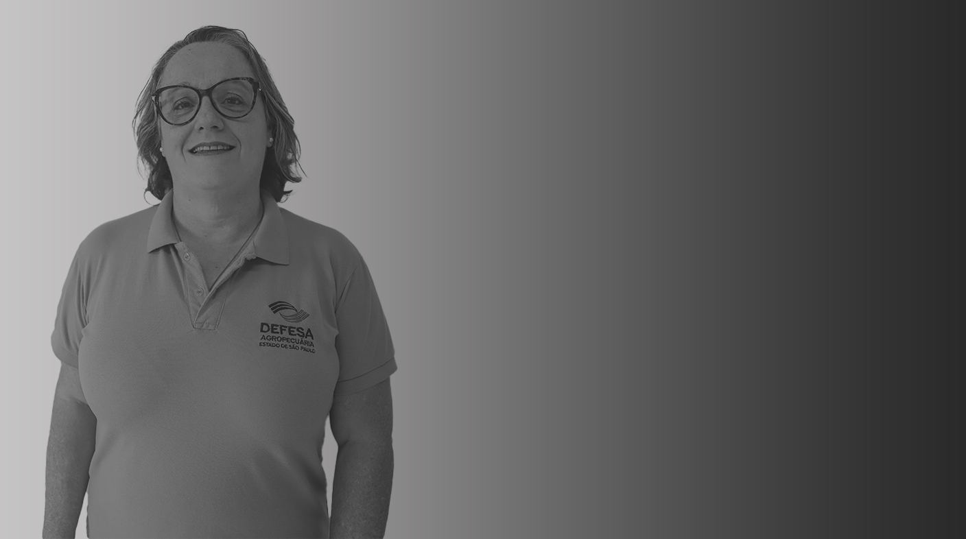 Mulher branca de cabelos grisalhos lisos e finos acima do ombro e óculos marrom de armação grande em pé pousando para foto. Ela veste camisa polo de mangas curtas com os dizeres do lado direito do peito: Defesa Agropecuária Estado de São Paulo. É a dra. Maria Carolina Guido.