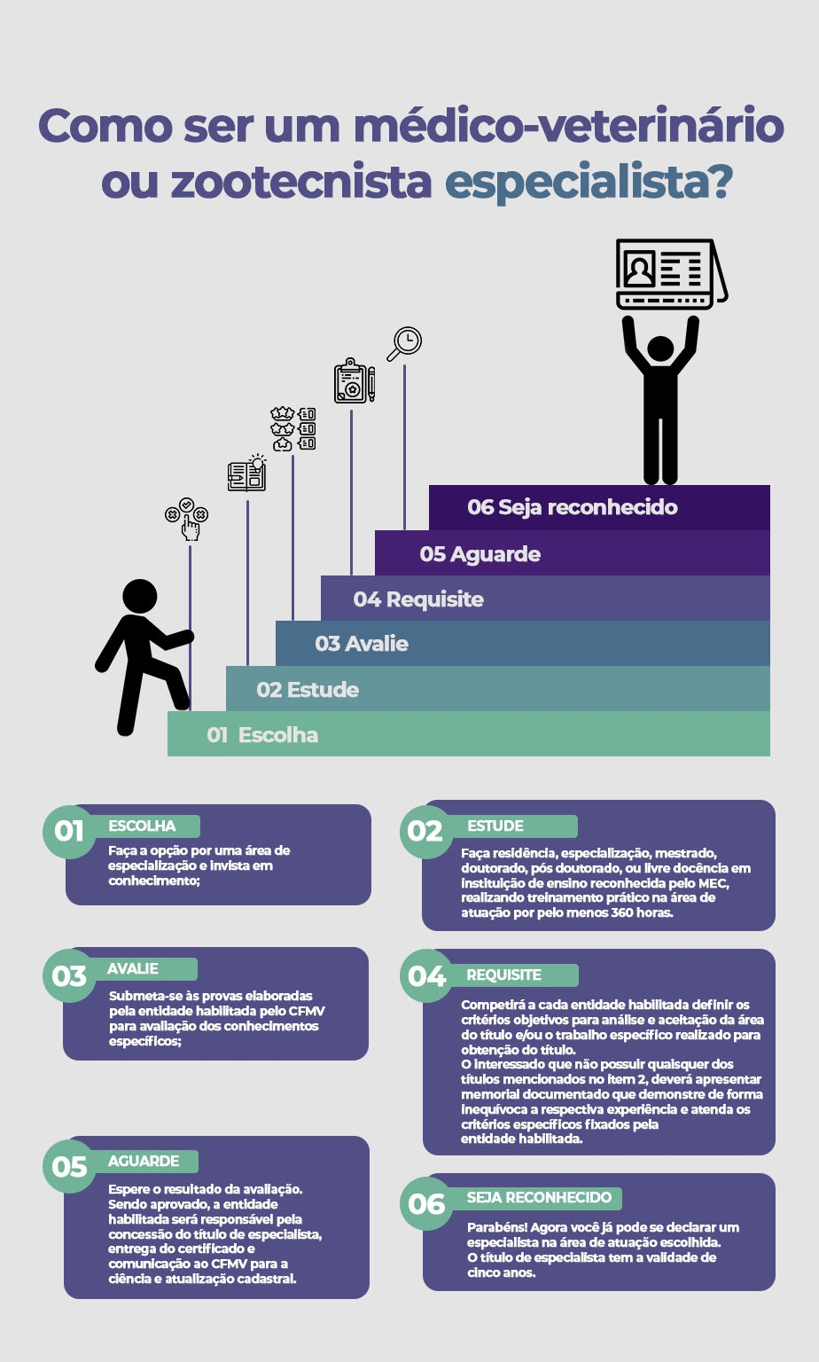 Infográfico com o passo a passo para se tornar um médico-veterinário especialista.