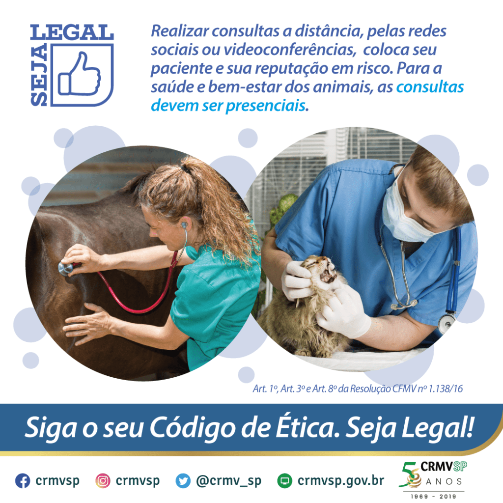 NetVet News - Conteúdo relevante para veterinários