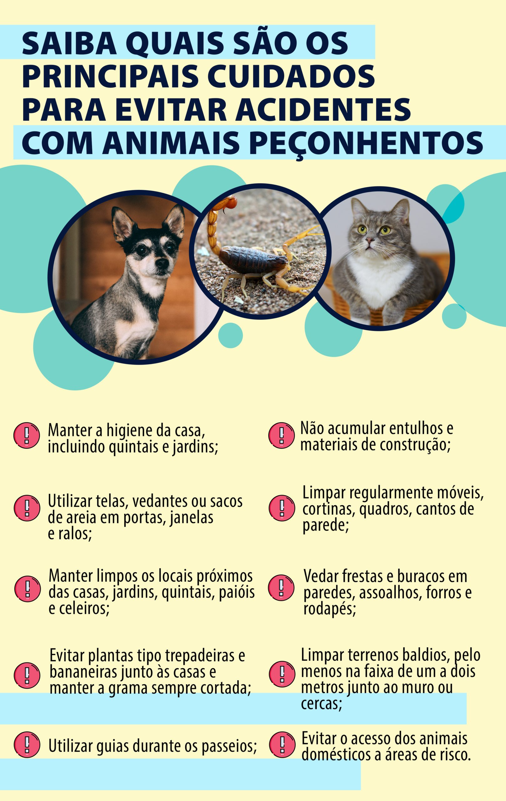 Como evitar animais peçonhentos: faça o quiz e aprenda