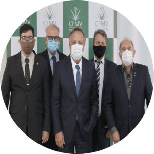 Integrantes da Câmara Técnica de Medicina Veterinária estão de máscara e vestindo terno e gravata, posados de pé em frente a painel nas cores verde e branca com a logomarca do CFMV