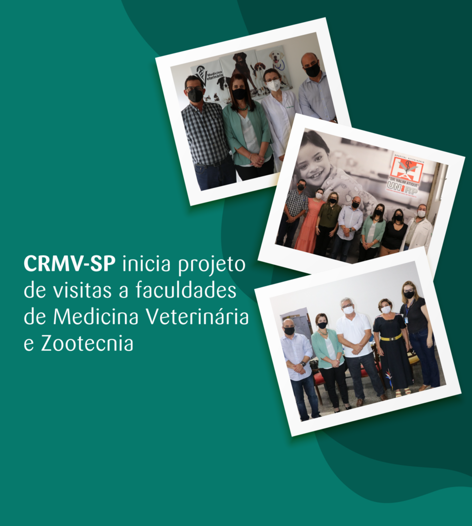 Na arte estão colocadas sobre um fundo verde três fotos, uma de cada faculdade visitada, mostrando os diretores do Conselho com coordenadores e representantes das instituições. Há ainda os dizeres: CRMV-SP inicia projeto de visitas a faculdades de Medicina Veterinária e Zootecnia.