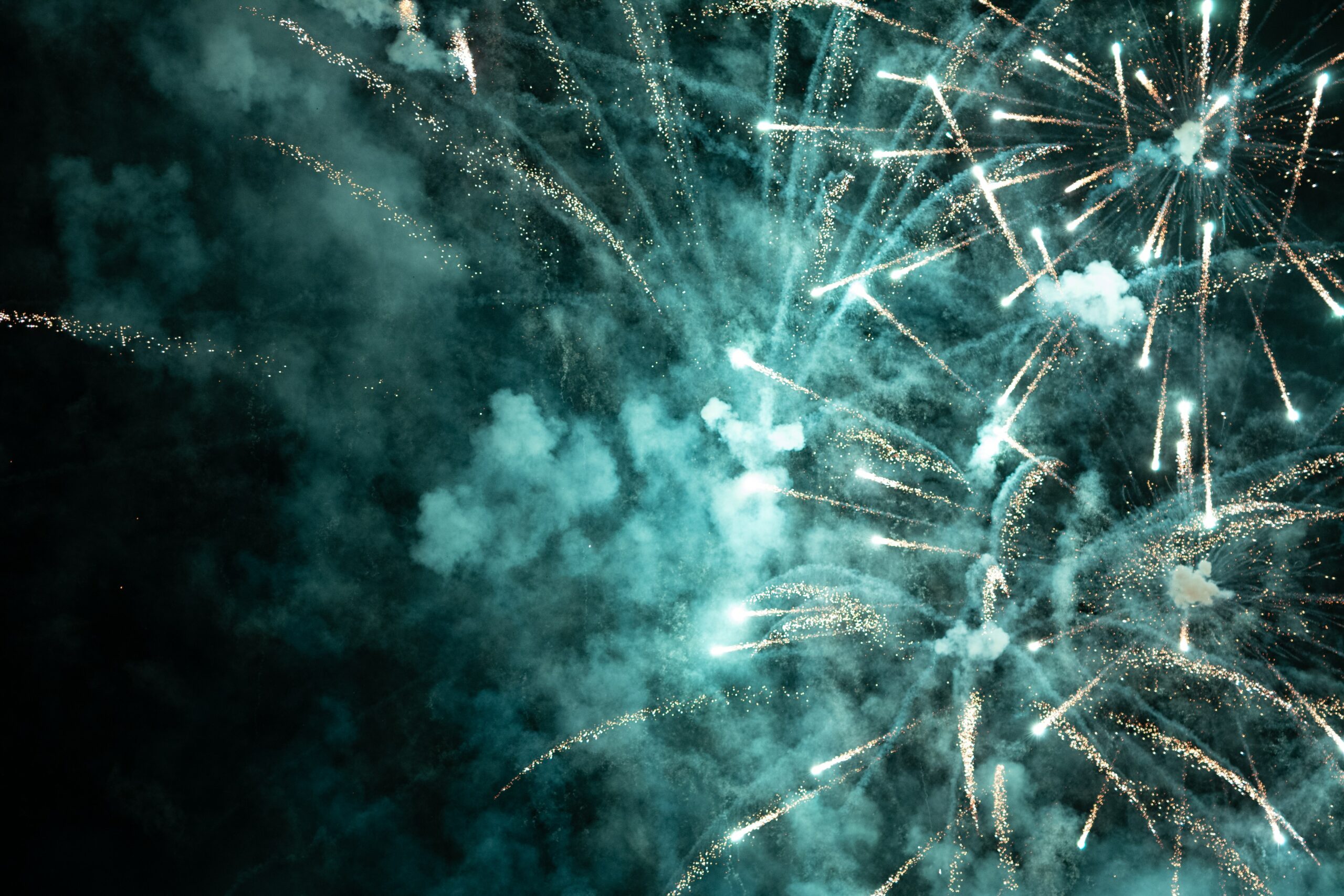 Queima de fogos de artifício com estampido é crime em São Paulo - CRMV-SP