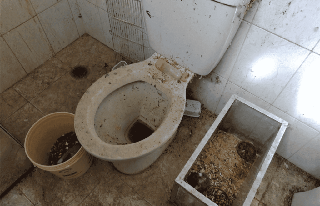 Foto de um banheiro em que eram mantidos aves e hamsters coberto de dejetos, sem condições mínimas de higiene. Um recipiente com um hamster também aparece na imagem. 