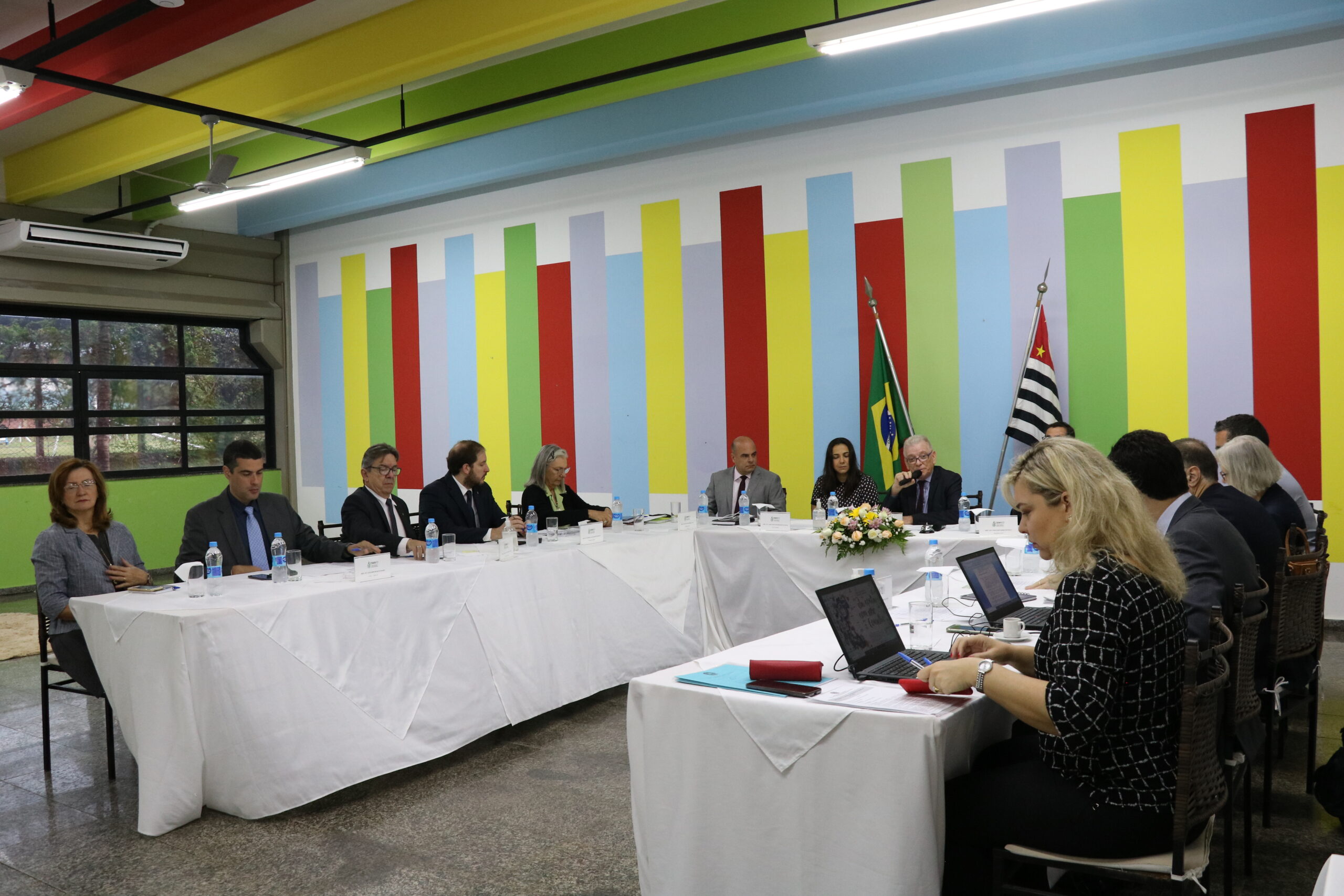 Plenária_Marília (121)