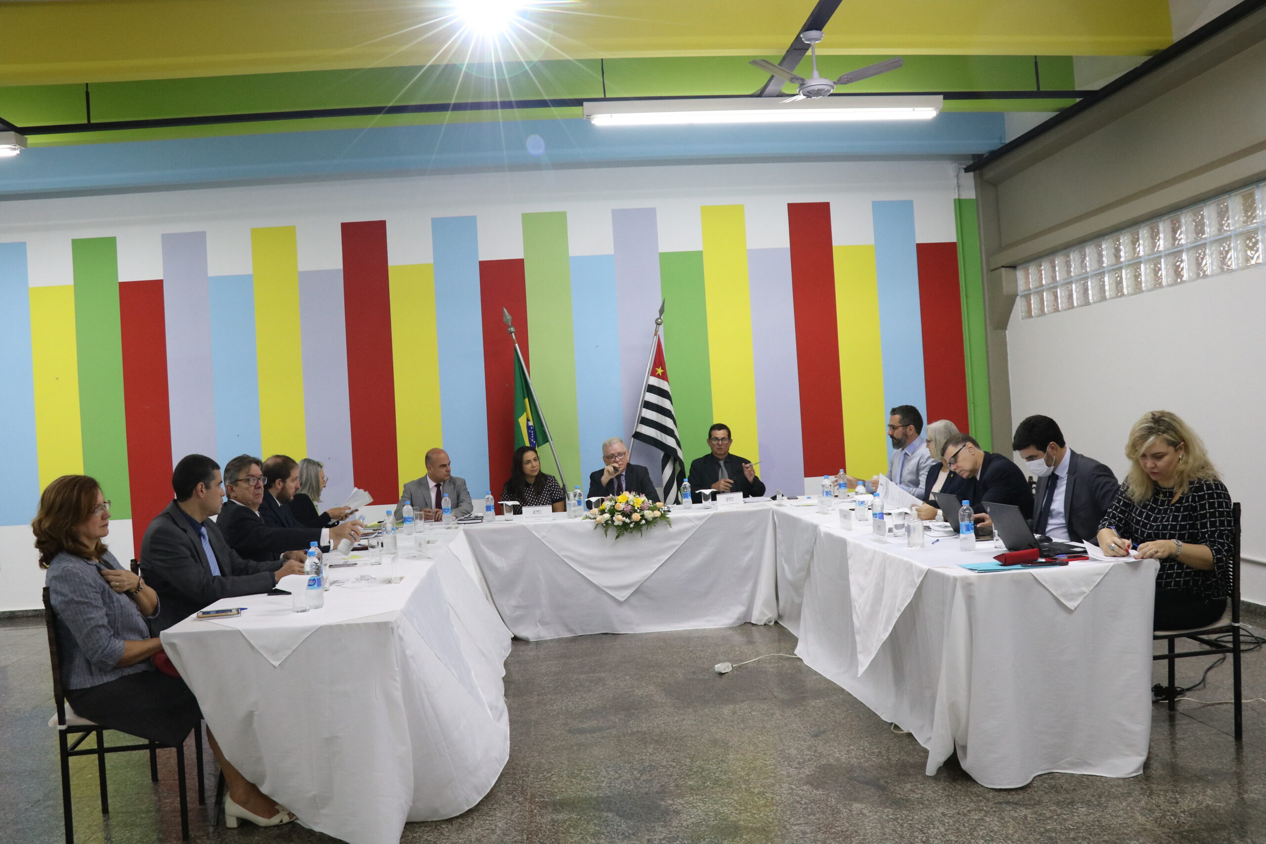 Plenária_Marília (123)