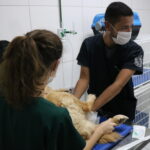 Visita_Universidade_Guarulhos_24.01 (22)