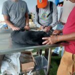 _Entrega_Doações_Litoral_Norte_27 (1)