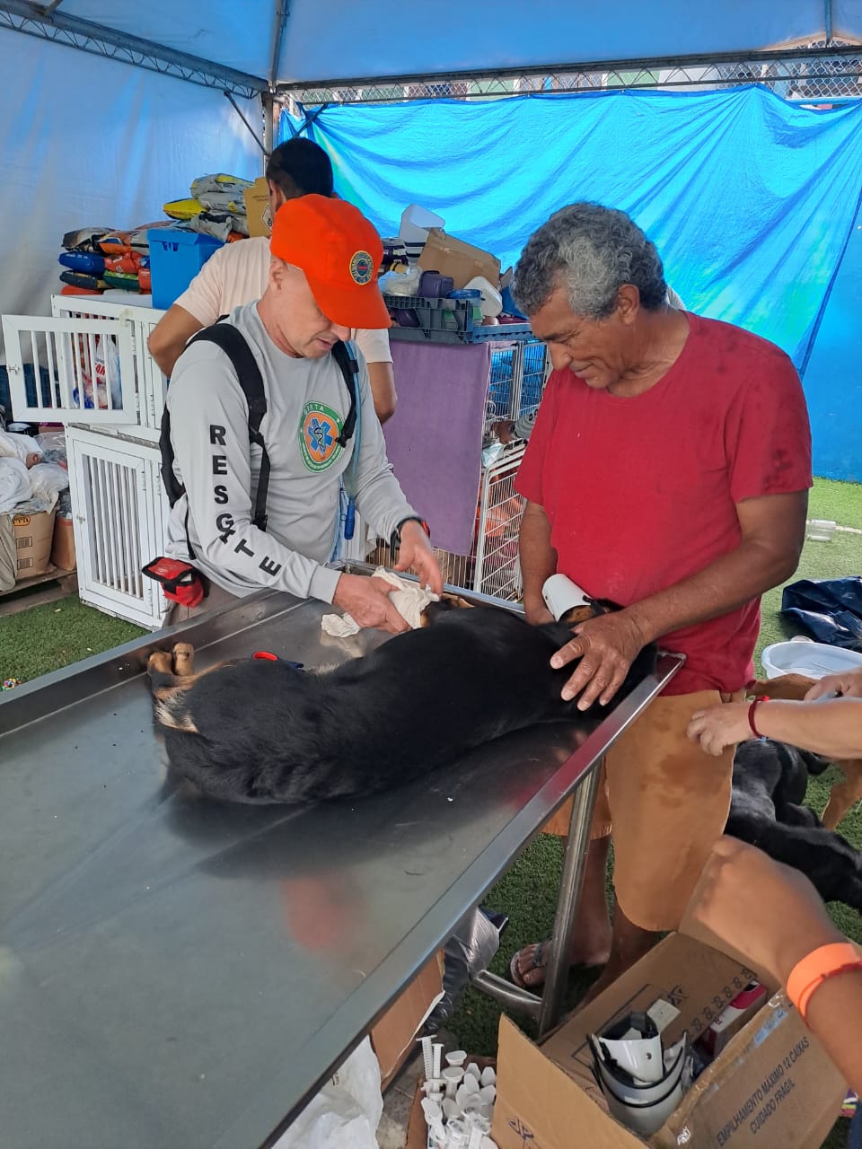 _Entrega_Doações_Litoral_Norte_27 (2)