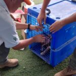 _Entrega_Doações_Litoral_Norte_27 (8)