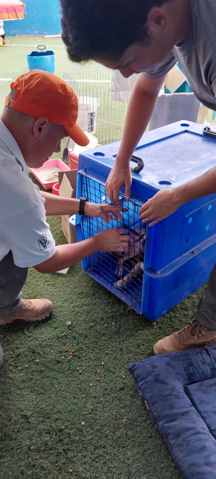 _Entrega_Doações_Litoral_Norte_27 (8)