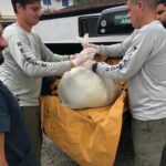 Entrega_doações_Litoral_Norte_26 (26)