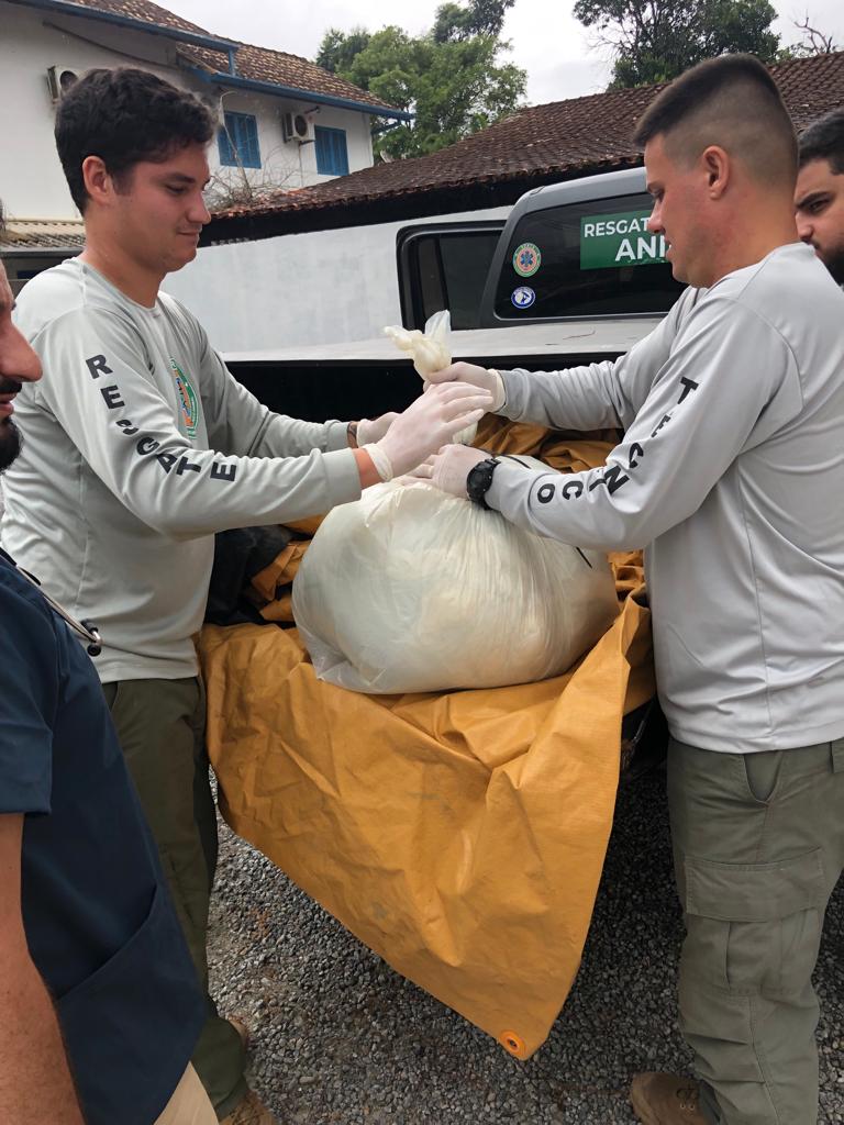 Entrega_doações_Litoral_Norte_26 (26)