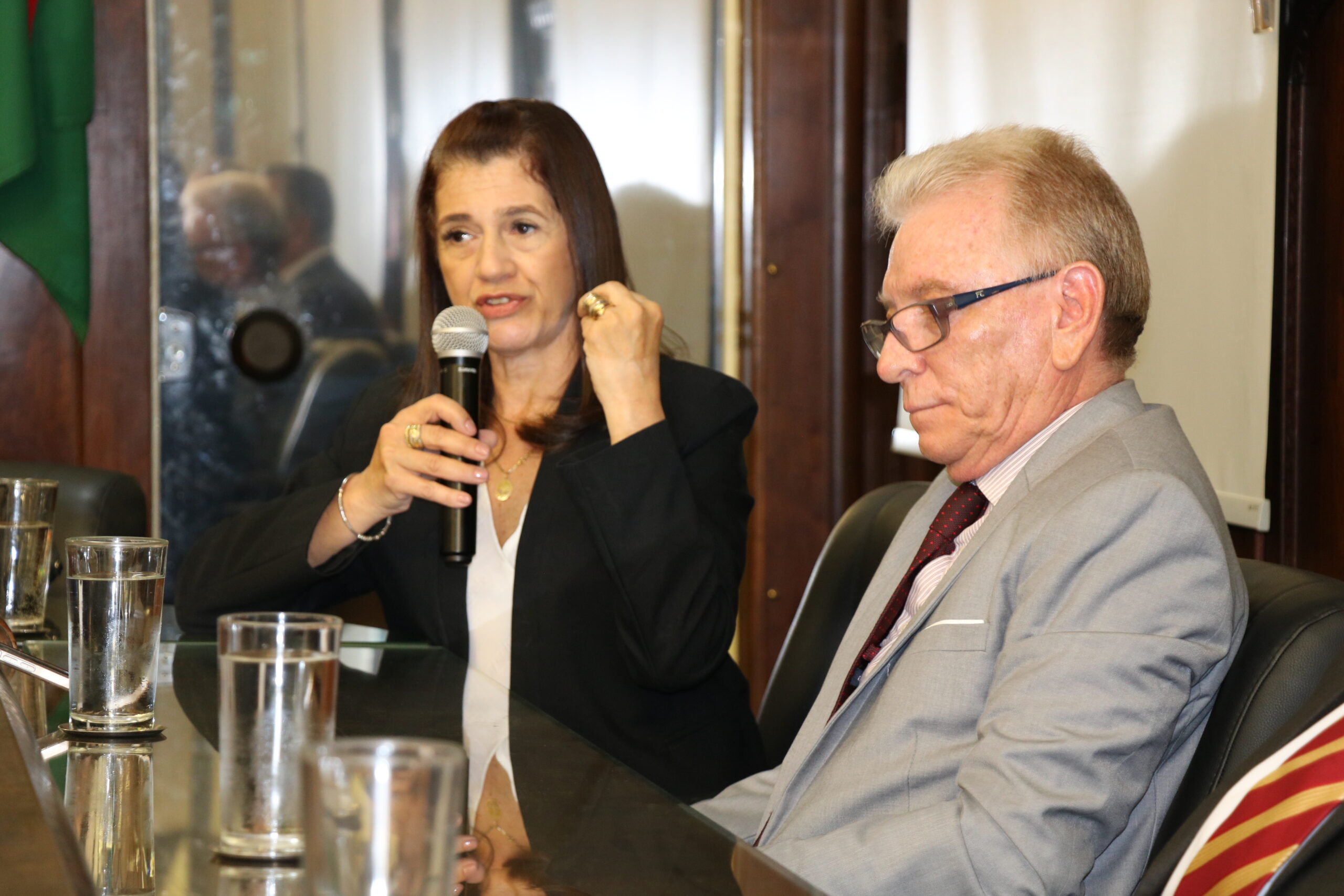 Reunião_pública_Câmara_Bauru (82)