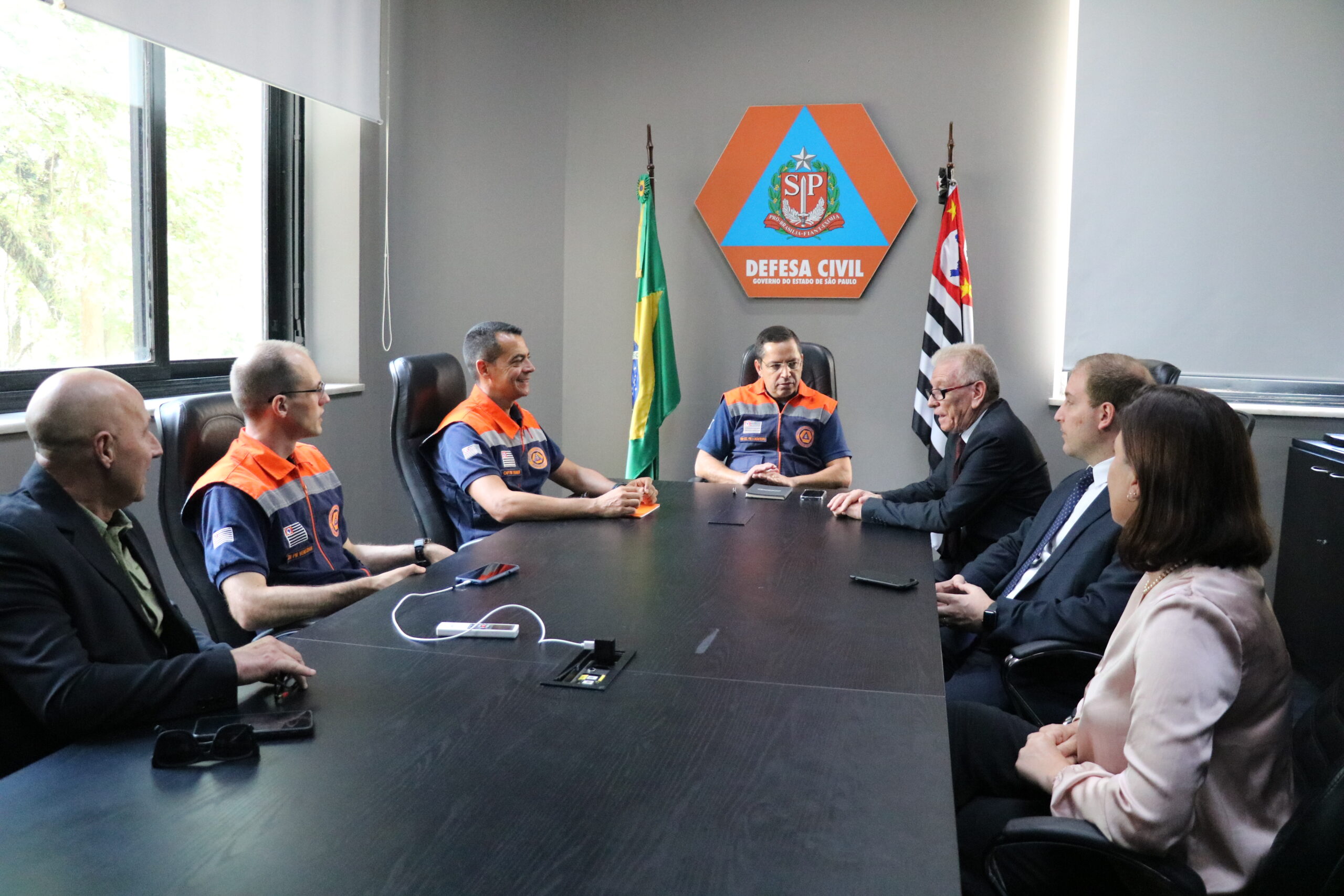Reuniao_CRMV-SP_Defesa_Civil_Estado (11)
