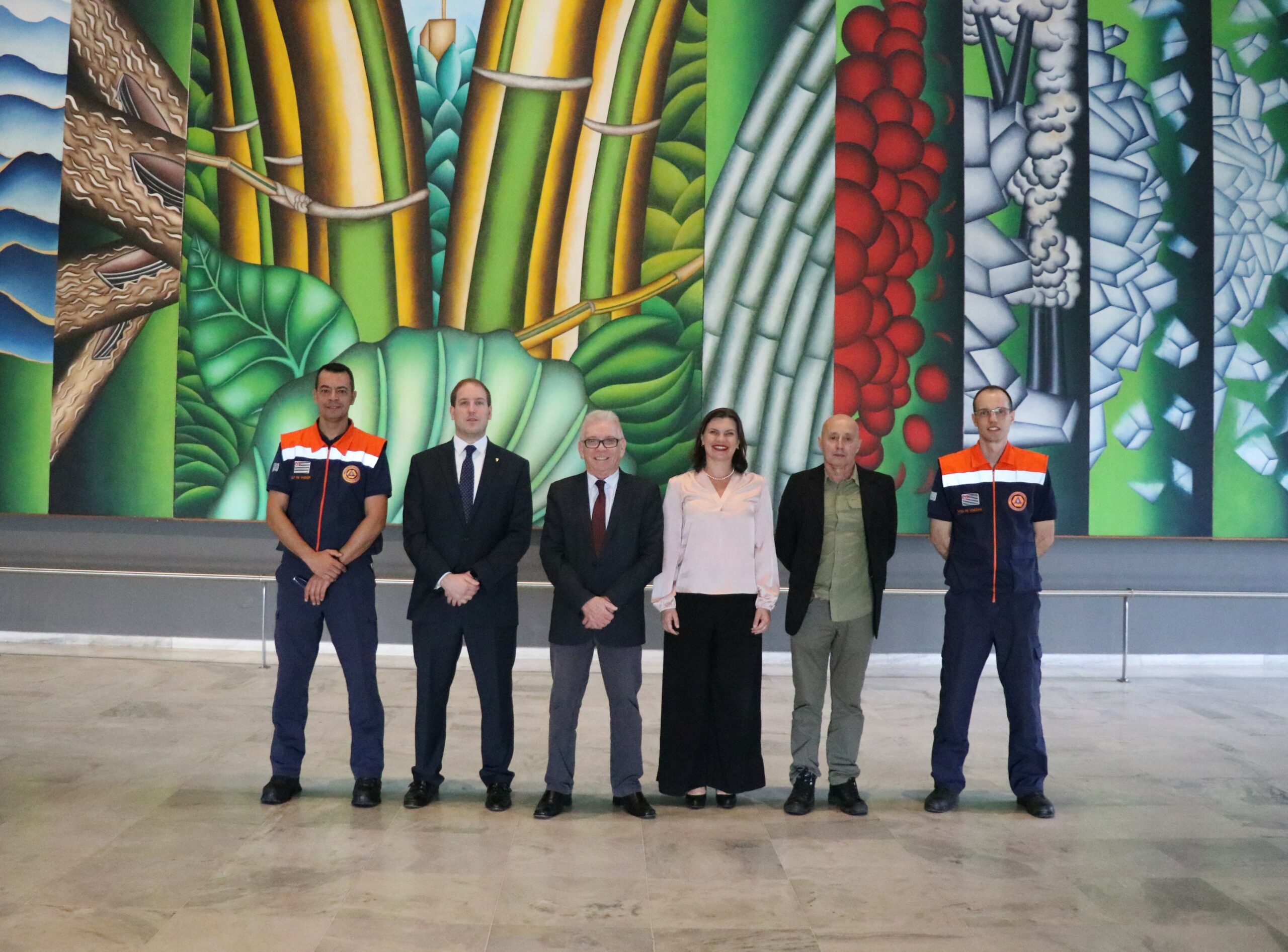 Reuniao_CRMV-SP_Defesa_Civil_Estado (32)_editada