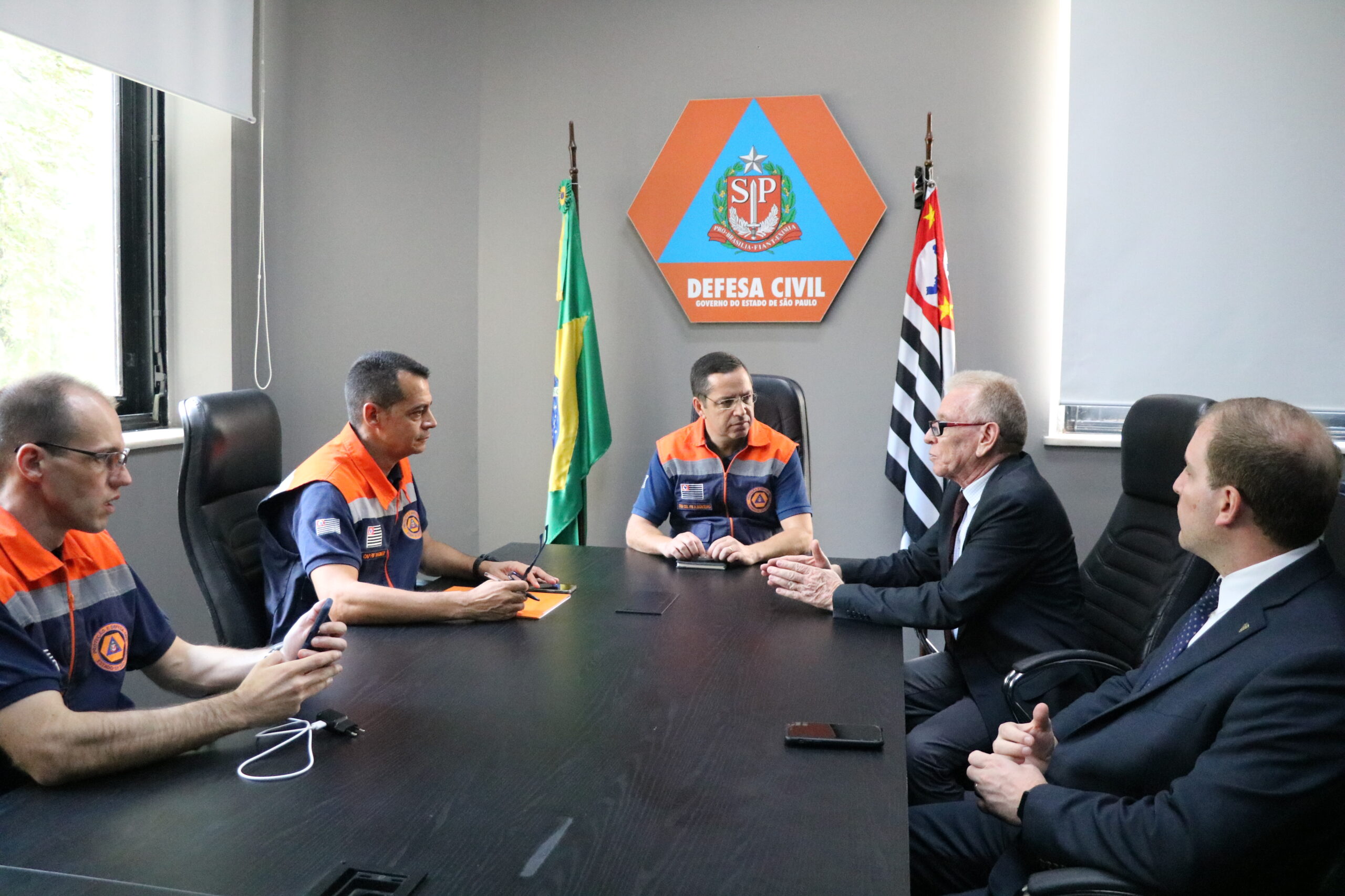 Reuniao_CRMV-SP_Defesa_Civil_Estado (5)
