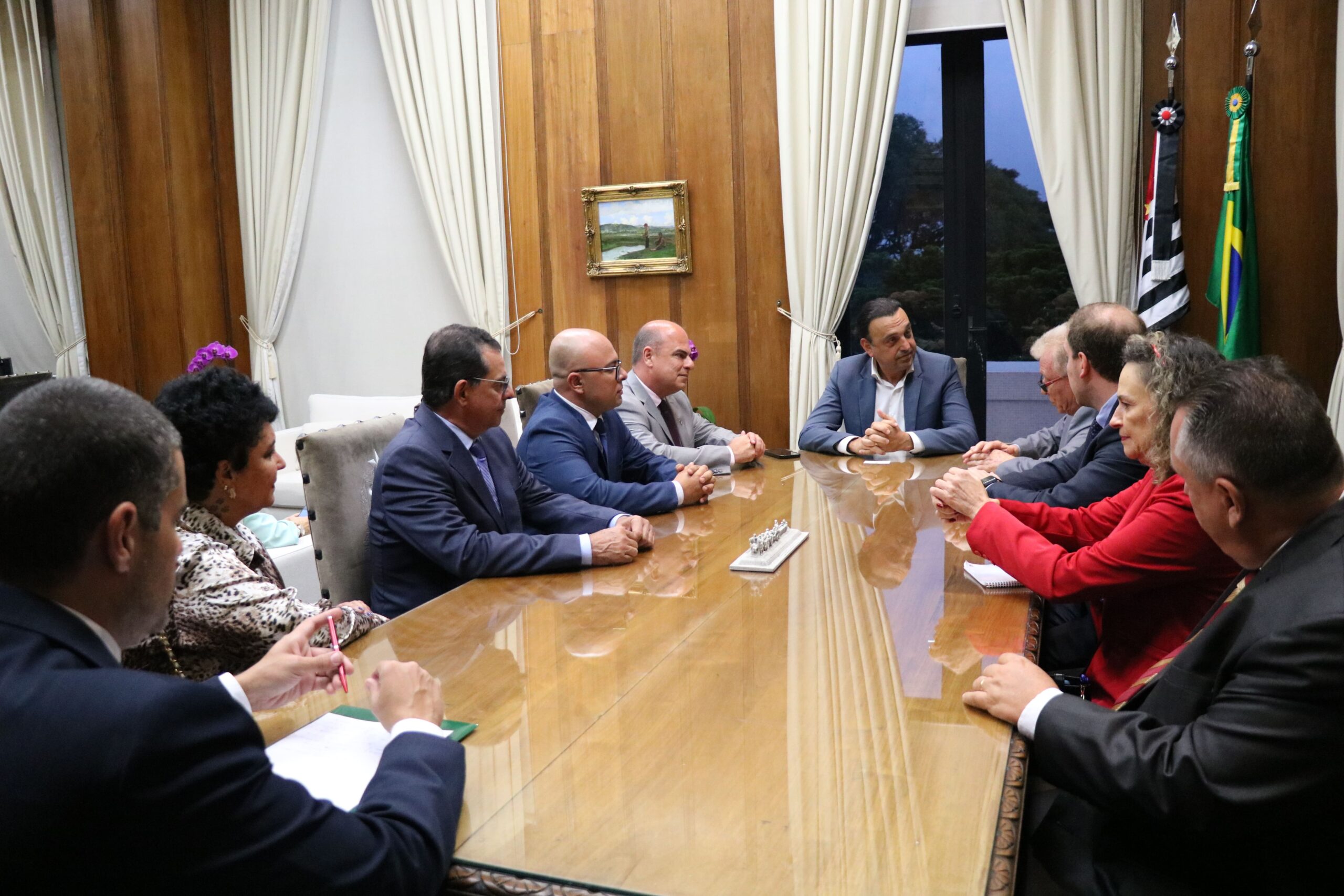 Na imagem estão nove representantes do CRMV-SP, sendo duas mulher e sete homens, sentados entorno de uma mesa de madeira. Na cabeceira, o vice-governador. Ao fundo uma janela com cortinas beges e as bandeiras do estado de São Paulo e do Brasil.