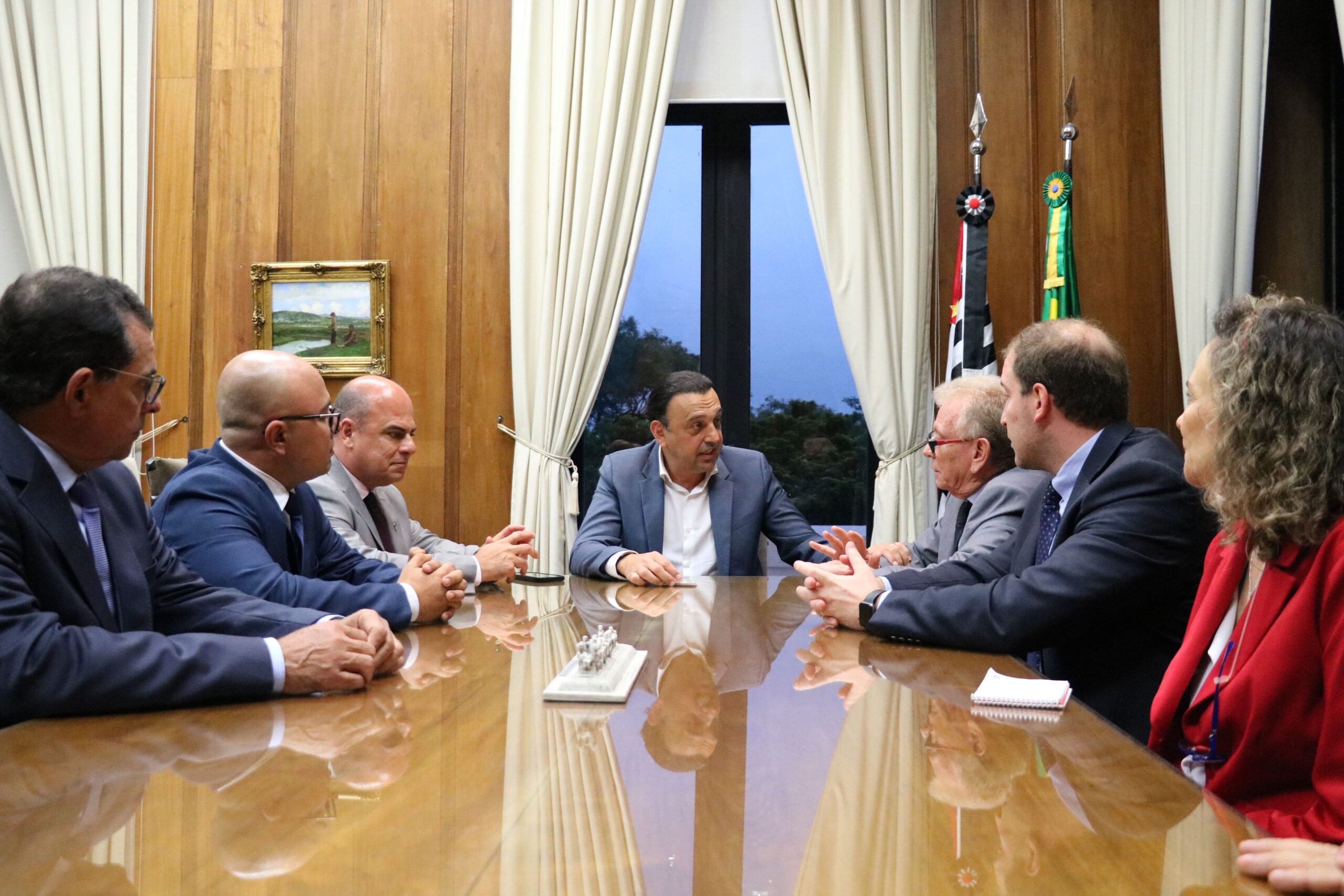 Na imagem estão seis representantes do CRMV-SP, sendo uma mulher e cinco homens, sentados entorno de uma mesa de madeira. Na cabeceira, o vice-governador. Ao fundo uma janela com cortinas beges.