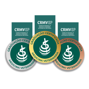 Sistema de certificação de cursos do CRMV-SP tem níveis ouro, prata e bronze. A imagem mostra três medalhas, cada uma de cada tipo - ouro, prata e bronze.