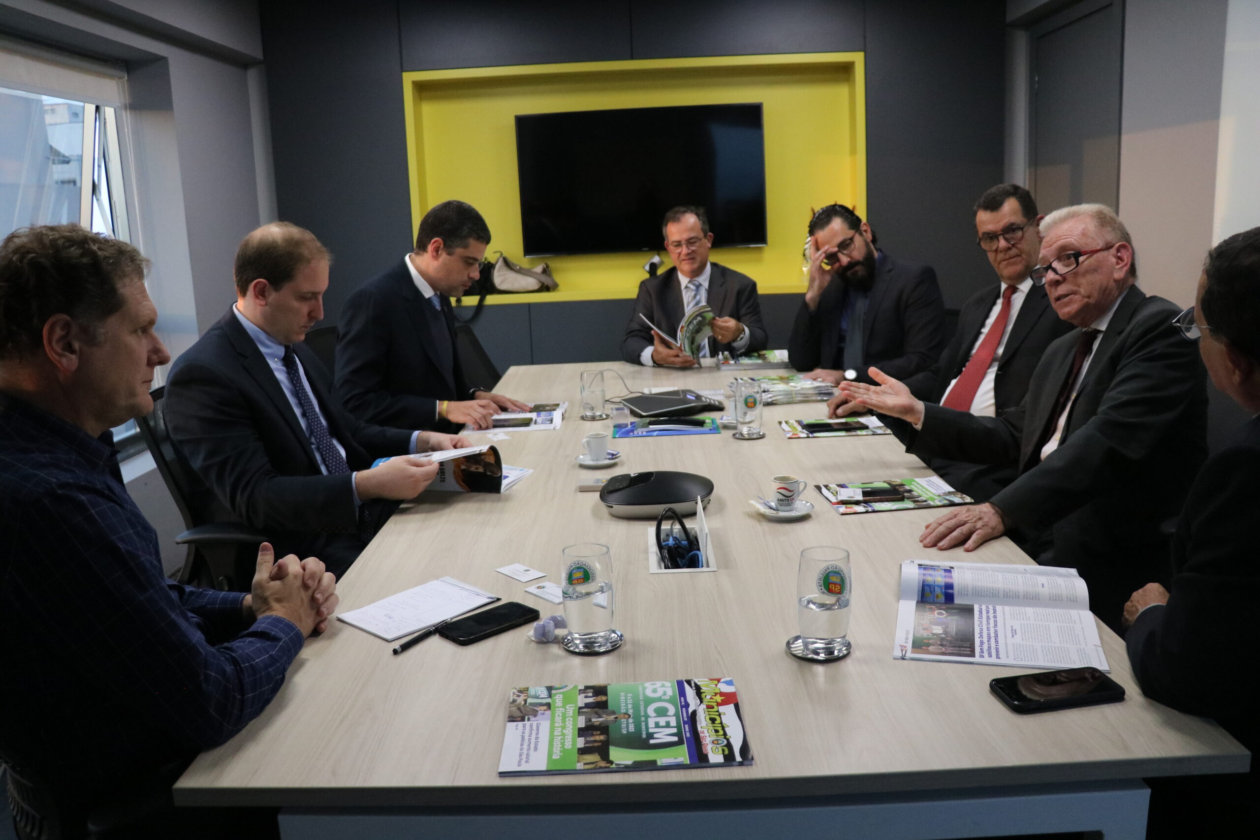 Na foto estão os membros do CRMV-SP e o presidente da APM. Eles estão sentados em uma mesa retangular, e conversam.