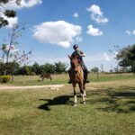 A presidente da Comissão Técnica de Equideocultura, Cláudia Sophia Leschonski, está montando um belo cavalo. O campo é bem verde e o céu está bem azul, com nuvens.