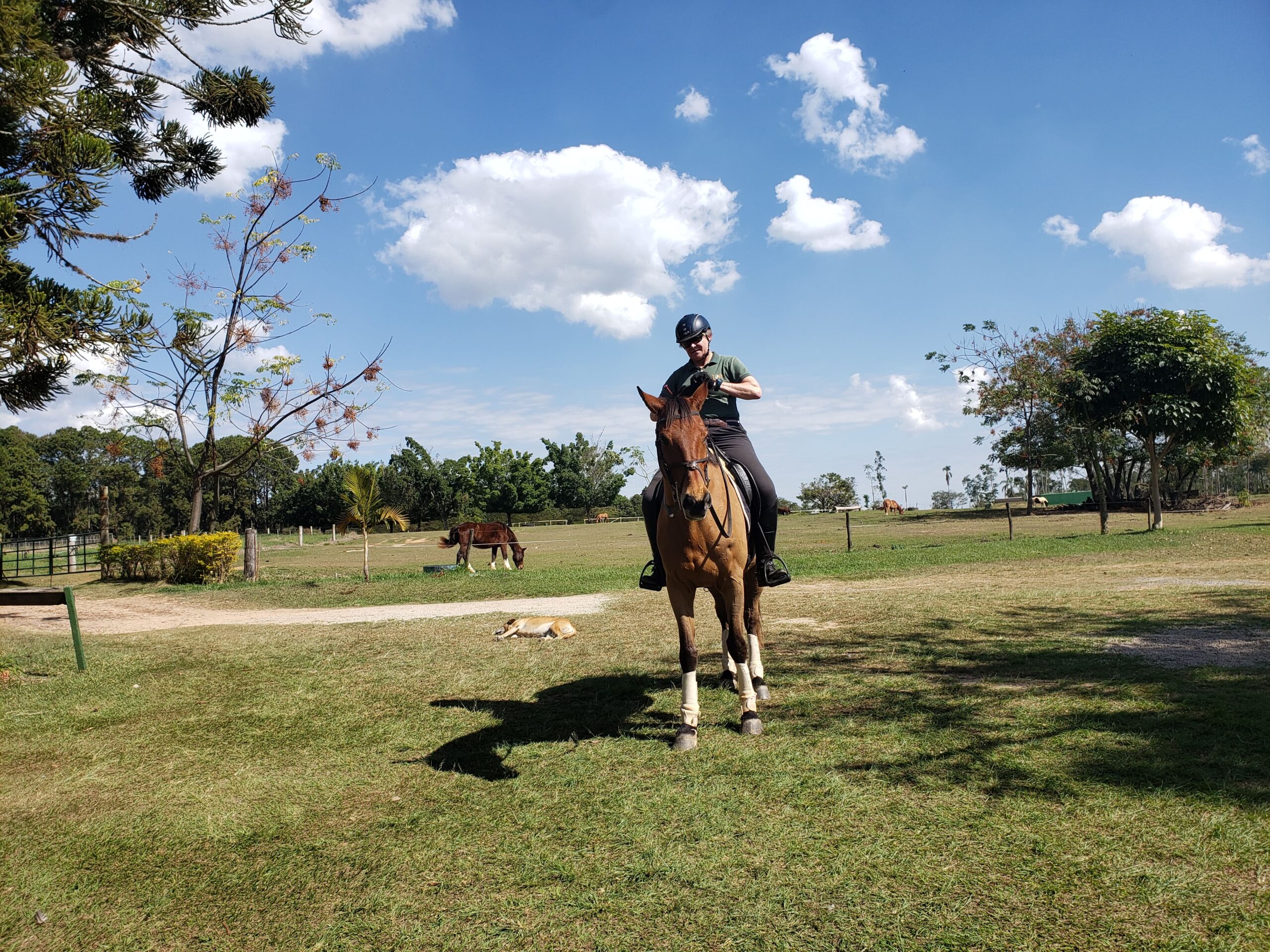 A presidente da Comissão Técnica de Equideocultura, Cláudia Sophia Leschonski, está montando um belo cavalo. O campo é bem verde e o céu está bem azul, com nuvens.