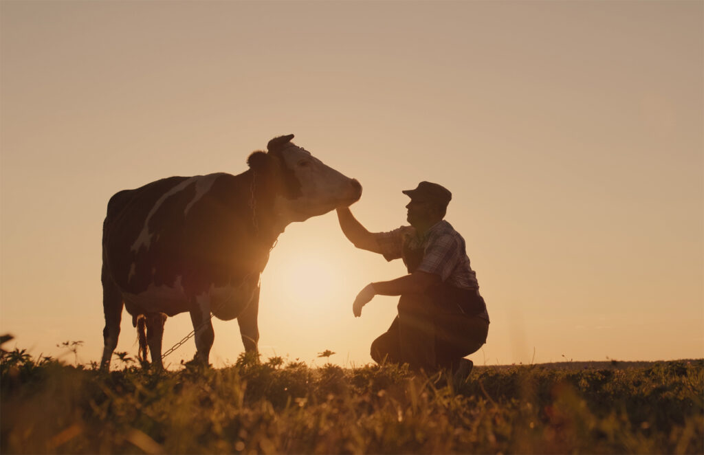 A Imagem mostra um homem ao lado de uma vaca leiteira, em gesto de respeito.