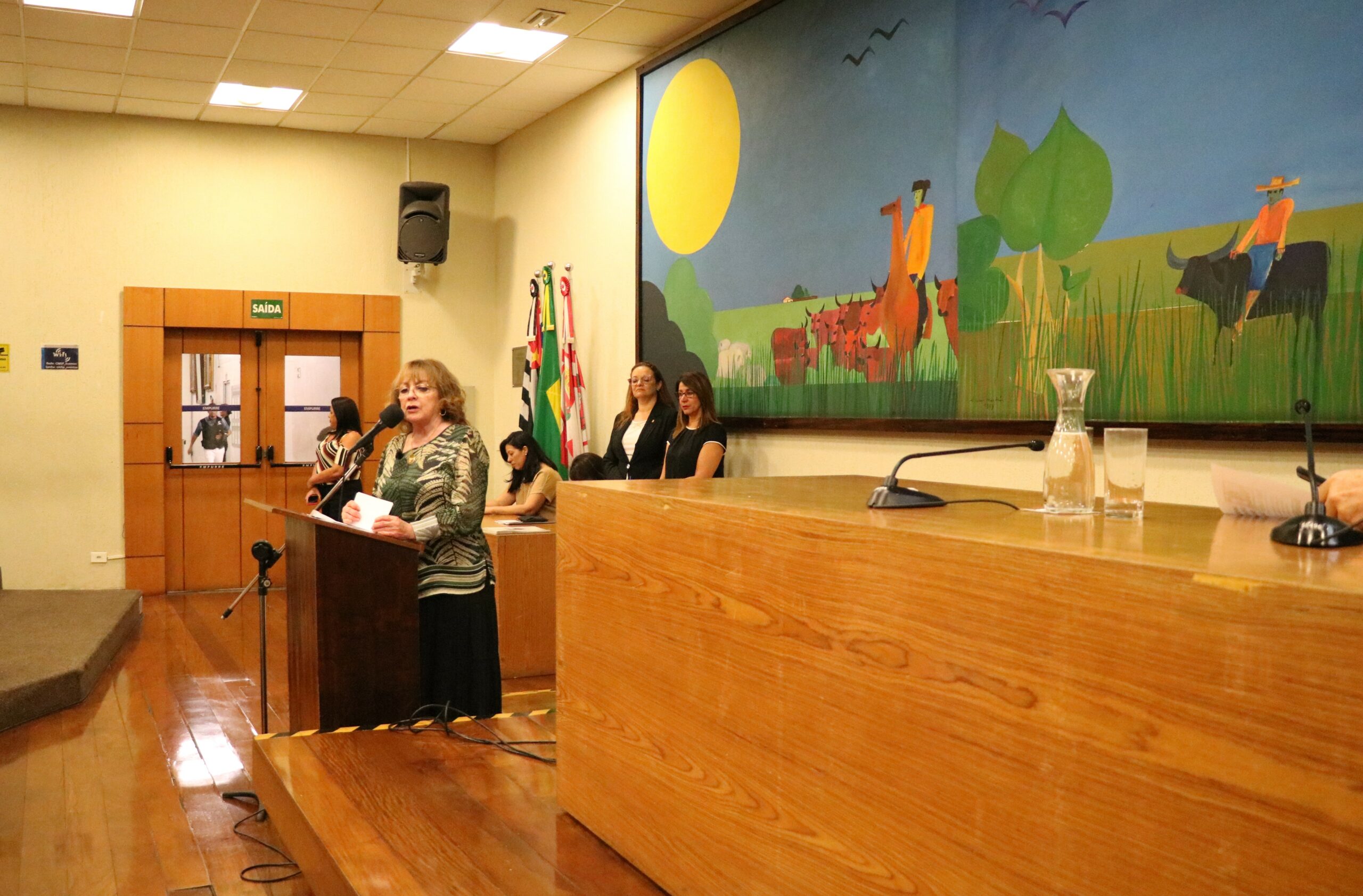 4_Homenagem_Camara_Municipal (61)editada