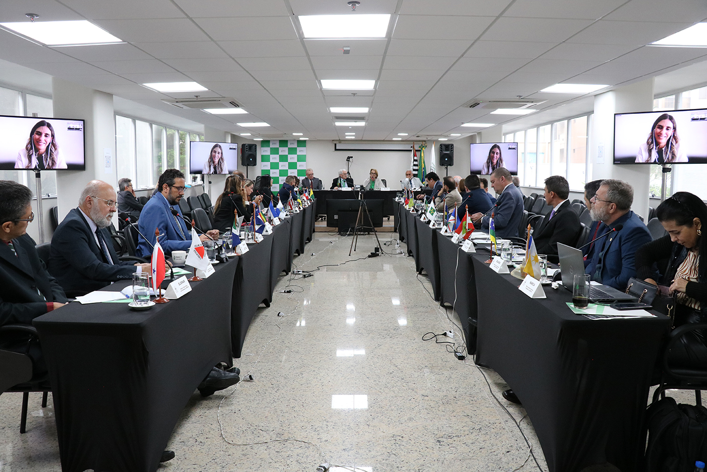 A foto mostra os presidentes dos CRMVs sentados durante a CNP.