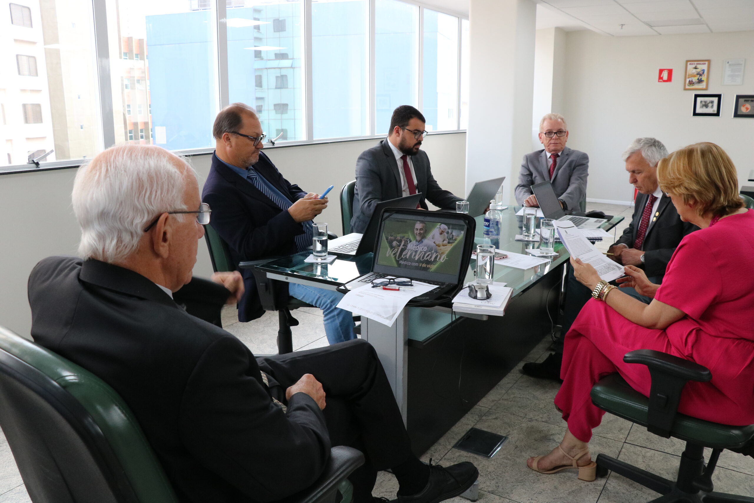 Na foto, estão sentados e conversam os participantes da reunião do PRODES: o presidente do CRMV-SP, Odemilson Donizete Mossero (primeiro ao fundo); o conselheiro do CFMV, Paulo Araújo de Guerra (à direita); a vice-presidente do CFMV, Ana Elisa de Souza Almeida; o conselheiro do CFMV, Marcílio Magalhães Vaz de Oliveira (primeiro, à frente); o presidente do CRMV-BA, Altair Santana de Oliveira (primeiro, à direita); o assessor administrativo, chefe do Núcleo de Apoio aos Regionais (NAR) do CFMV, Igor Pinto de Andrade; e a presidente do CRMV-PE, Maria Elisa Araújo.