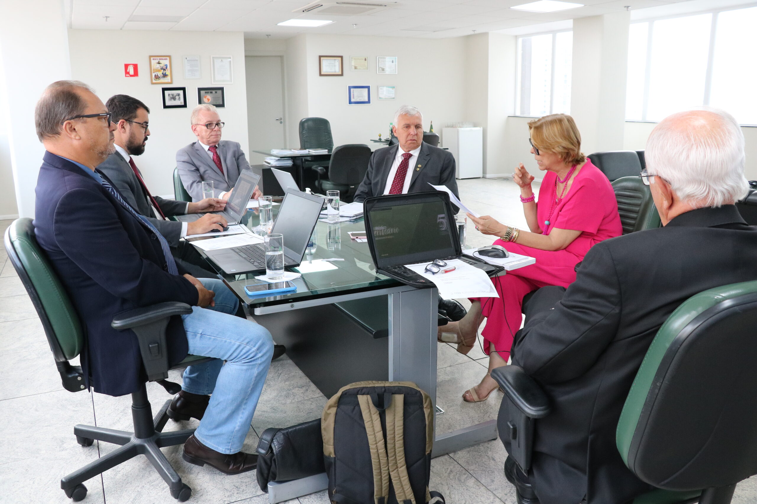 Na foto, estão sentados e conversam os participantes da reunião do PRODES: o presidente do CRMV-SP, Odemilson Donizete Mossero (primeiro ao fundo); o conselheiro do CFMV, Paulo Araújo de Guerra (à direita); a vice-presidente do CFMV, Ana Elisa de Souza Almeida; o conselheiro do CFMV, Marcílio Magalhães Vaz de Oliveira (primeiro, à frente); o presidente do CRMV-BA, Altair Santana de Oliveira (primeiro, à direita); o assessor administrativo, chefe do Núcleo de Apoio aos Regionais (NAR) do CFMV, Igor Pinto de Andrade; e a presidente do CRMV-PE, Maria Elisa Araújo.