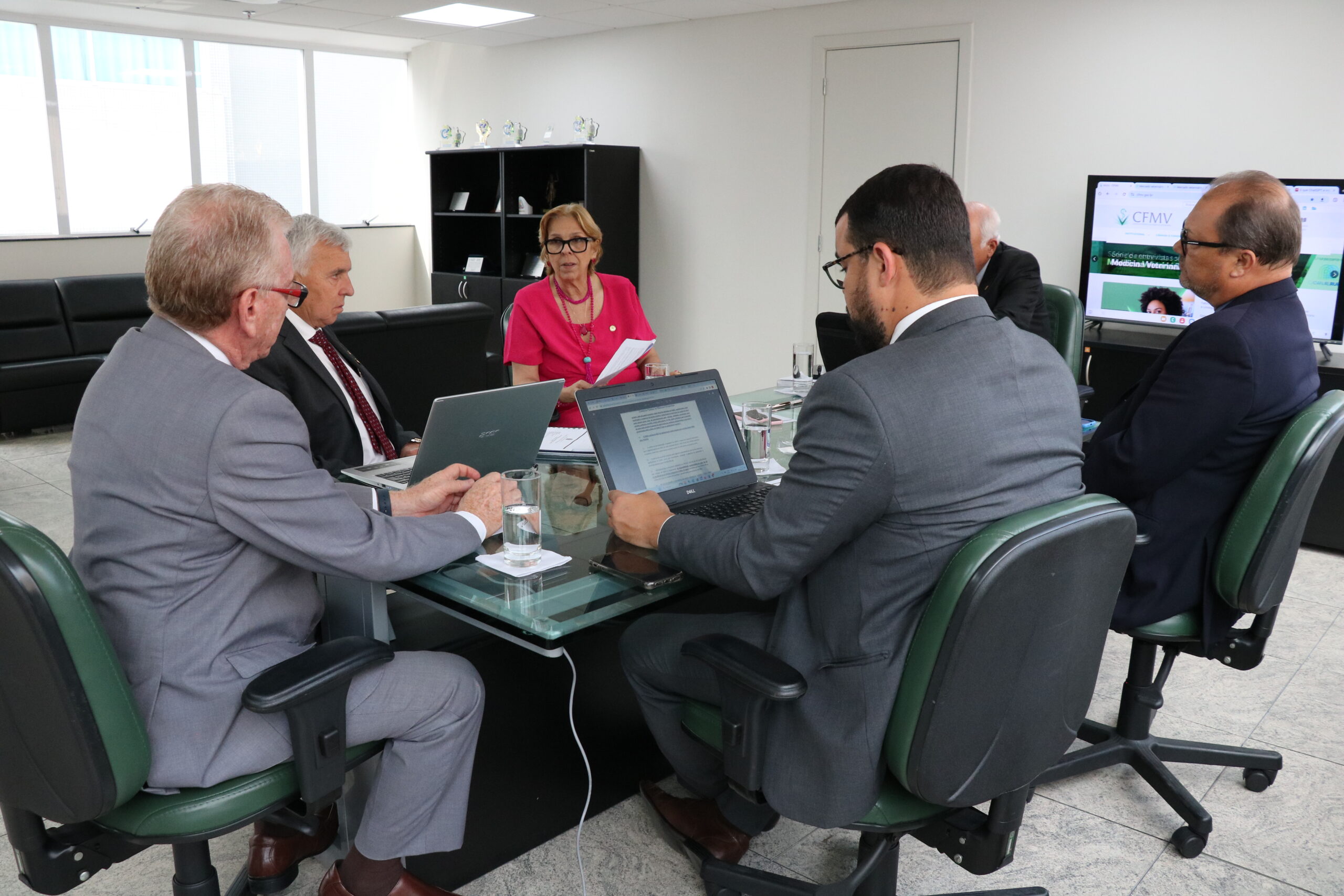 Na foto, estão sentados e conversam os participantes da reunião do PRODES: o presidente do CRMV-SP, Odemilson Donizete Mossero (primeiro ao fundo); o conselheiro do CFMV, Paulo Araújo de Guerra (à direita); a vice-presidente do CFMV, Ana Elisa de Souza Almeida; o conselheiro do CFMV, Marcílio Magalhães Vaz de Oliveira (primeiro, à frente); o presidente do CRMV-BA, Altair Santana de Oliveira (primeiro, à direita); o assessor administrativo, chefe do Núcleo de Apoio aos Regionais (NAR) do CFMV, Igor Pinto de Andrade; e a presidente do CRMV-PE, Maria Elisa Araújo.