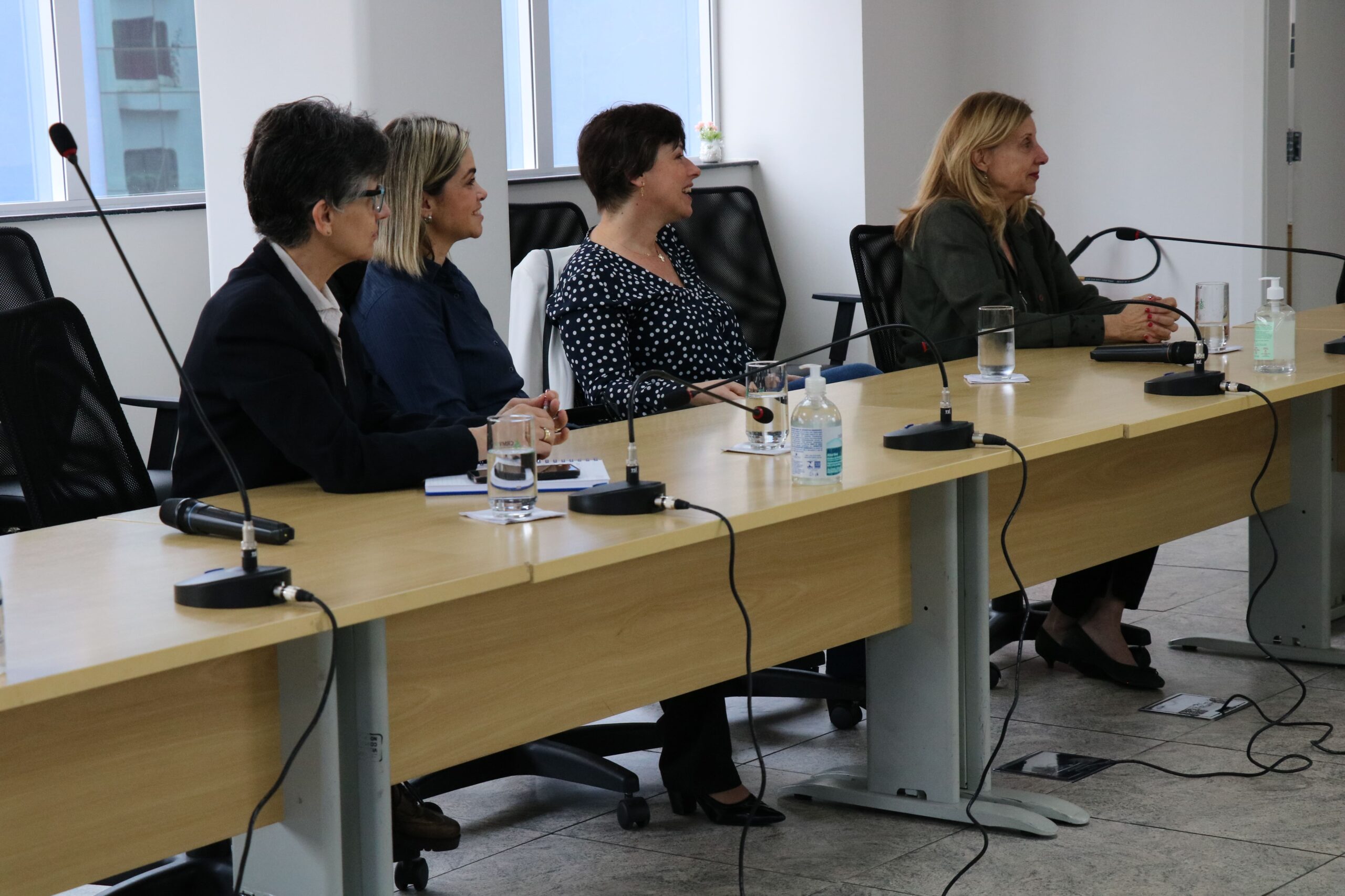 Na foto, da esquerda para a direita, a presidente da Comissão, Greyce Balthazar Lousana, e as integrantes Tatiana Gotti, Gisele Kindlein e Silvana Gorniak.
