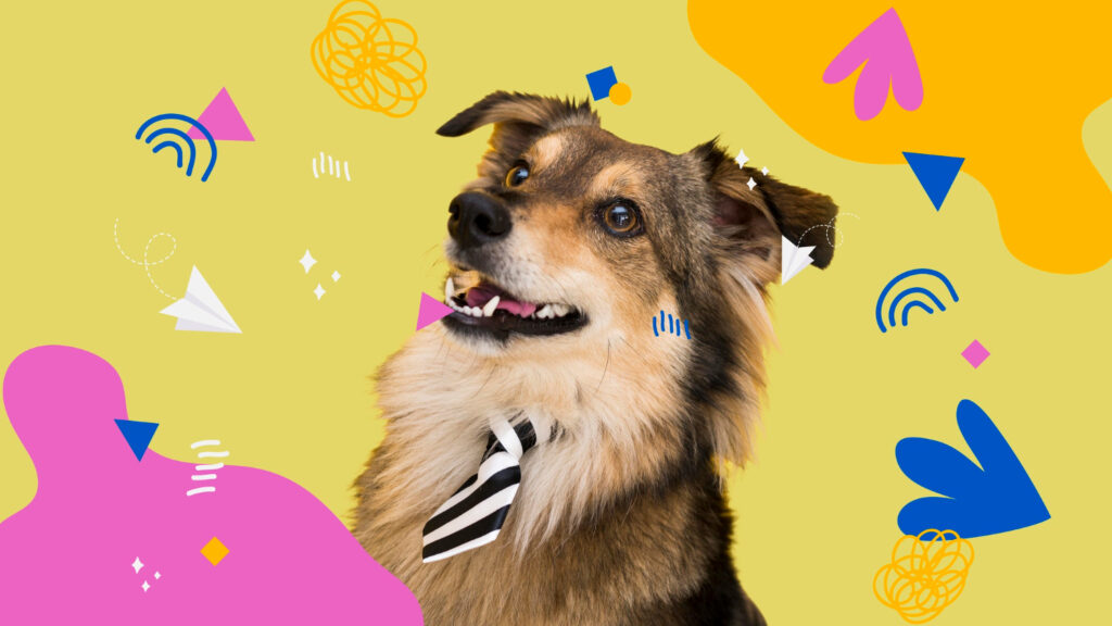 A foto mostra um cão com uma pequena gravatinha ao pescoço. Ao fundo, logotipos coloridos que lembram o carnaval.