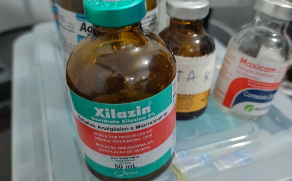 Medicamento Xilaxin, sedativo de uso controlado.