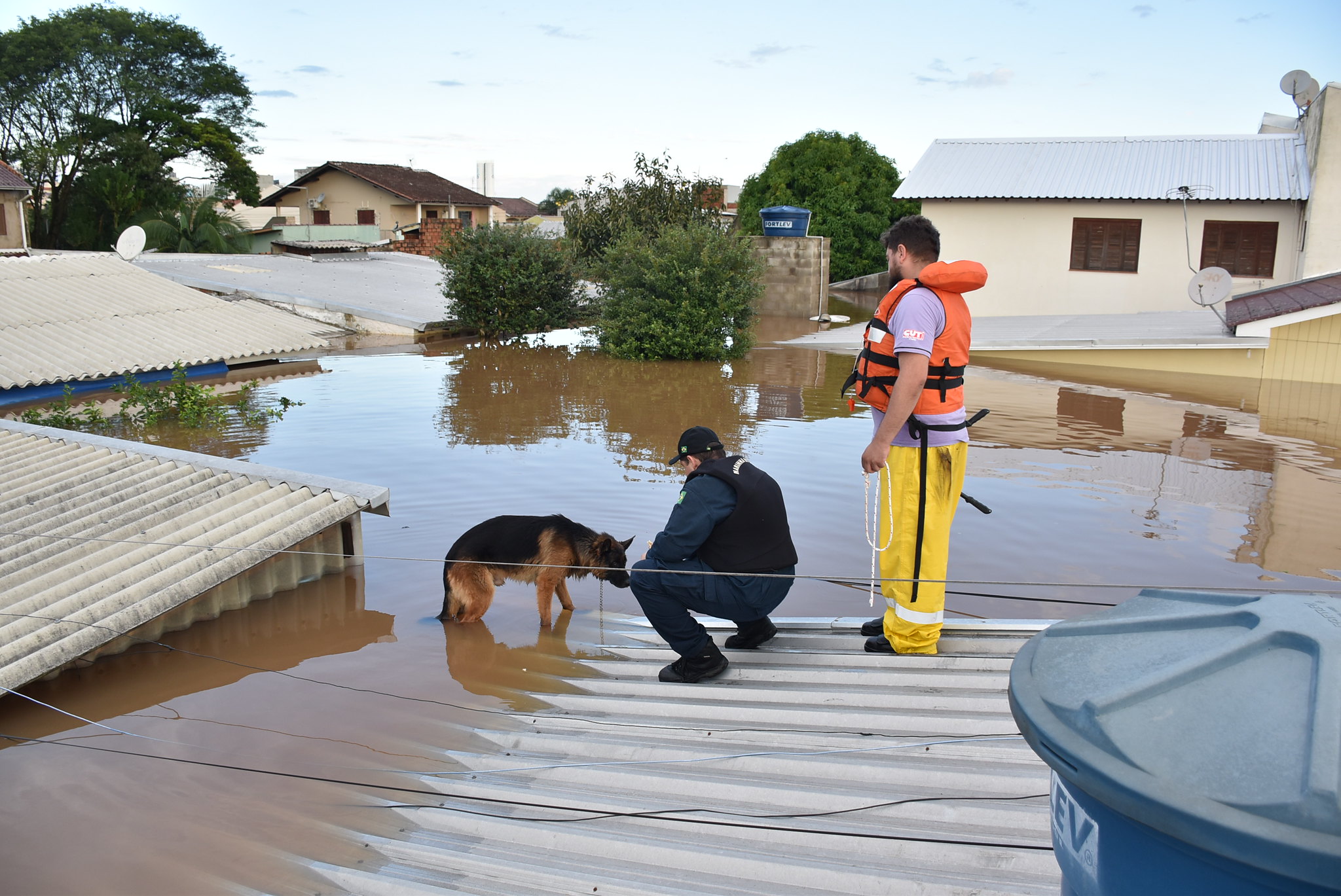 Em um cenário de enchente na cidade de Santa Maria, um cachorro pastor alemão é resgatado por dois homens