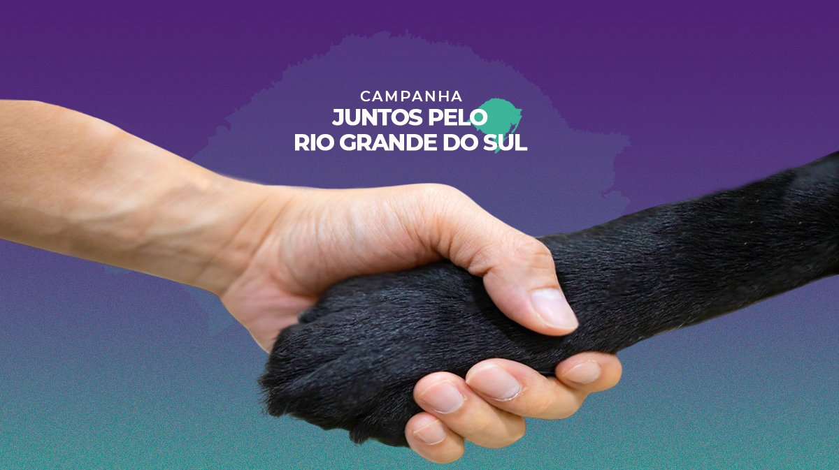 Campanha Juntos pelo Rio Grande do Sul