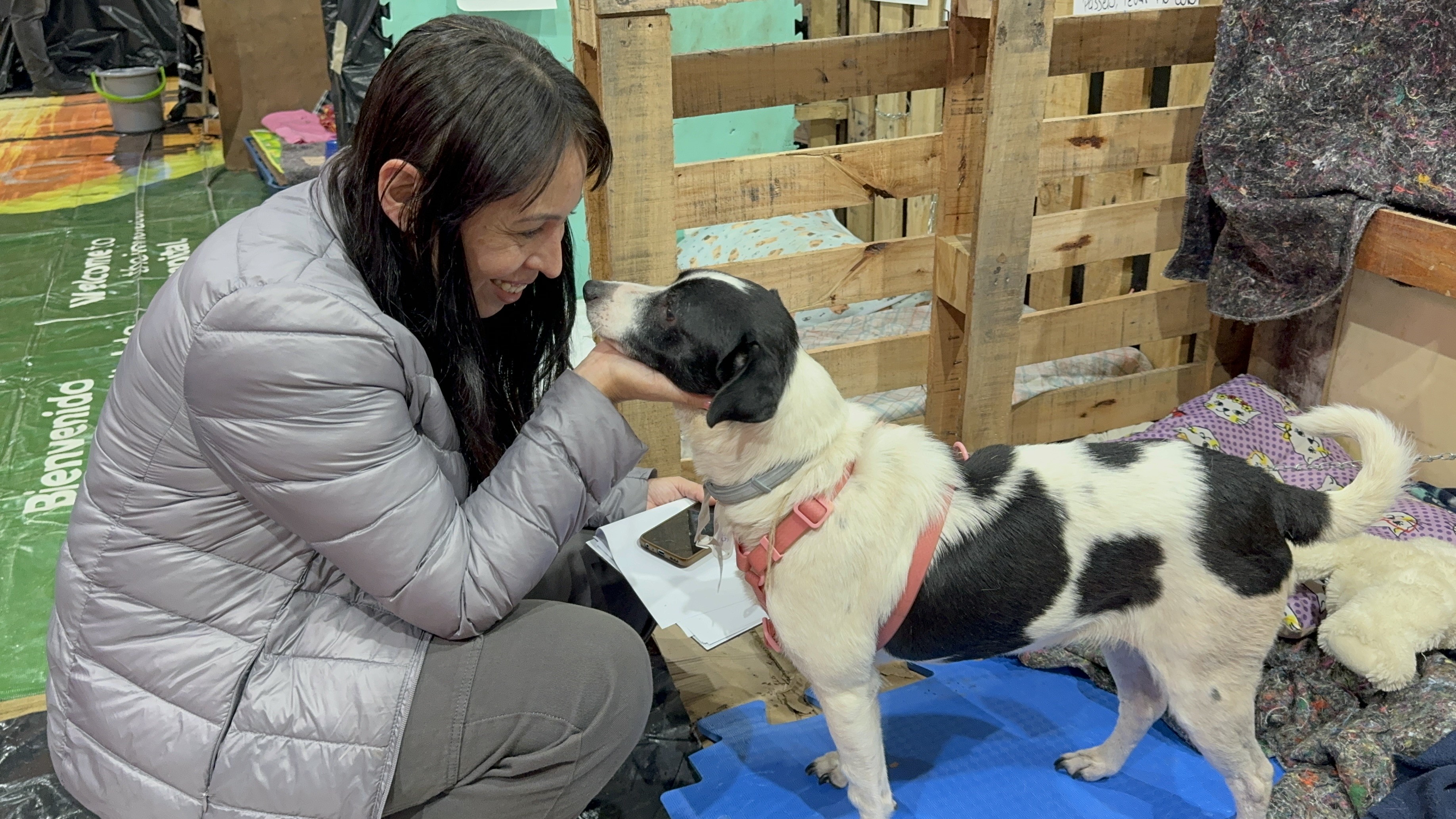 Mulher usando calça e casacos cinza, sorri e brinca com cachorra sem raça definida branco e preta de porte médio no Rio Grande do Sul.