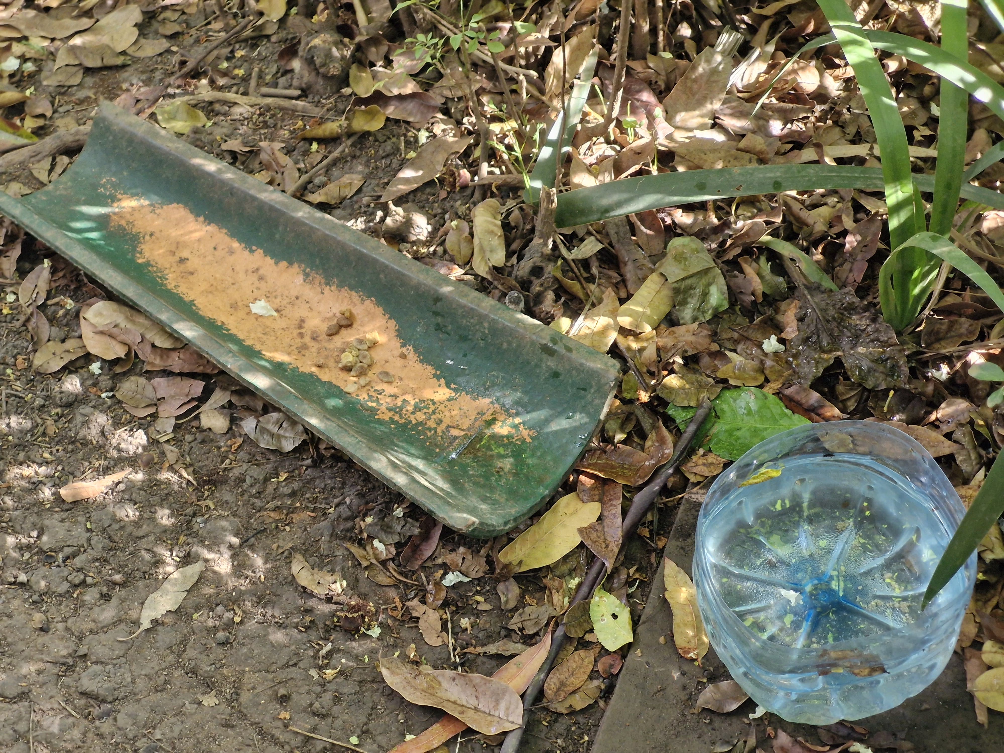 Recipientes com água e ração no Parque Aclimação.