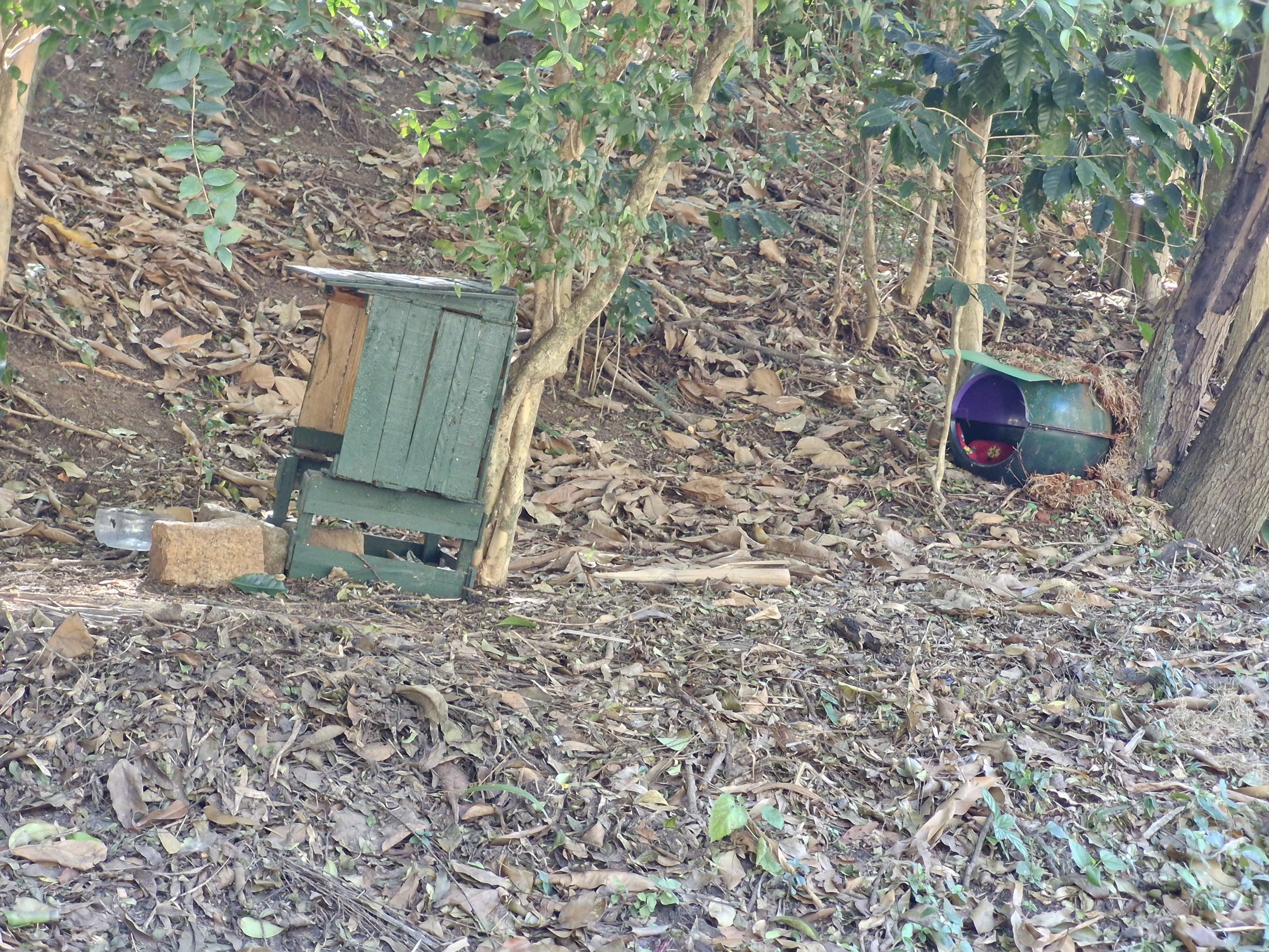 Casinhas para cães e gatos instaladas embaixo de árvores no Parque Aclimação.