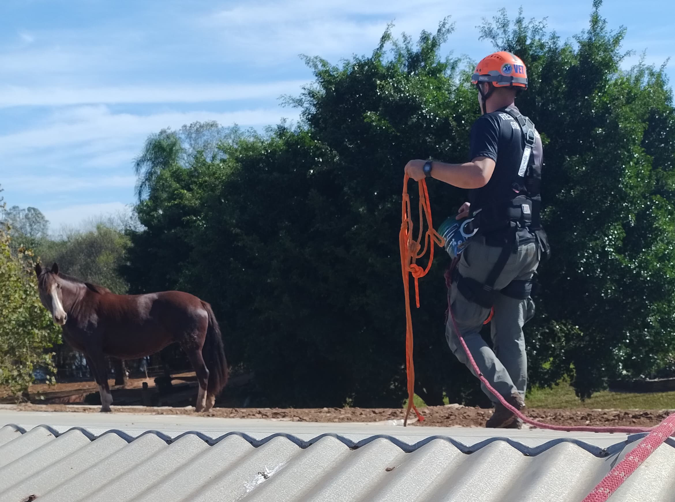 Presidente da Comissão de Resgate Técnico Animal e Medicina Veterinária de Desastres do CRMV-SP, Leonardo Castro, está resgatando cavalo isolado pela enchente no Rio Grande do Sul.