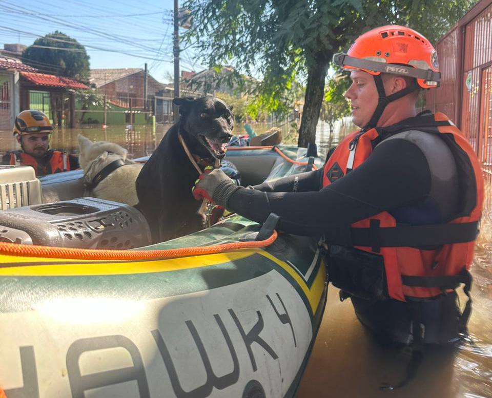 O presidente da Comissão de Resgate Técnico Animal e Medicina Veterinária de Desastres do CRMV-SP, Leonardo Maggio de Castro, está com água na altura da cintura e resgatando um cão que está em um bote, na enchente do Rio Grande do Sul.