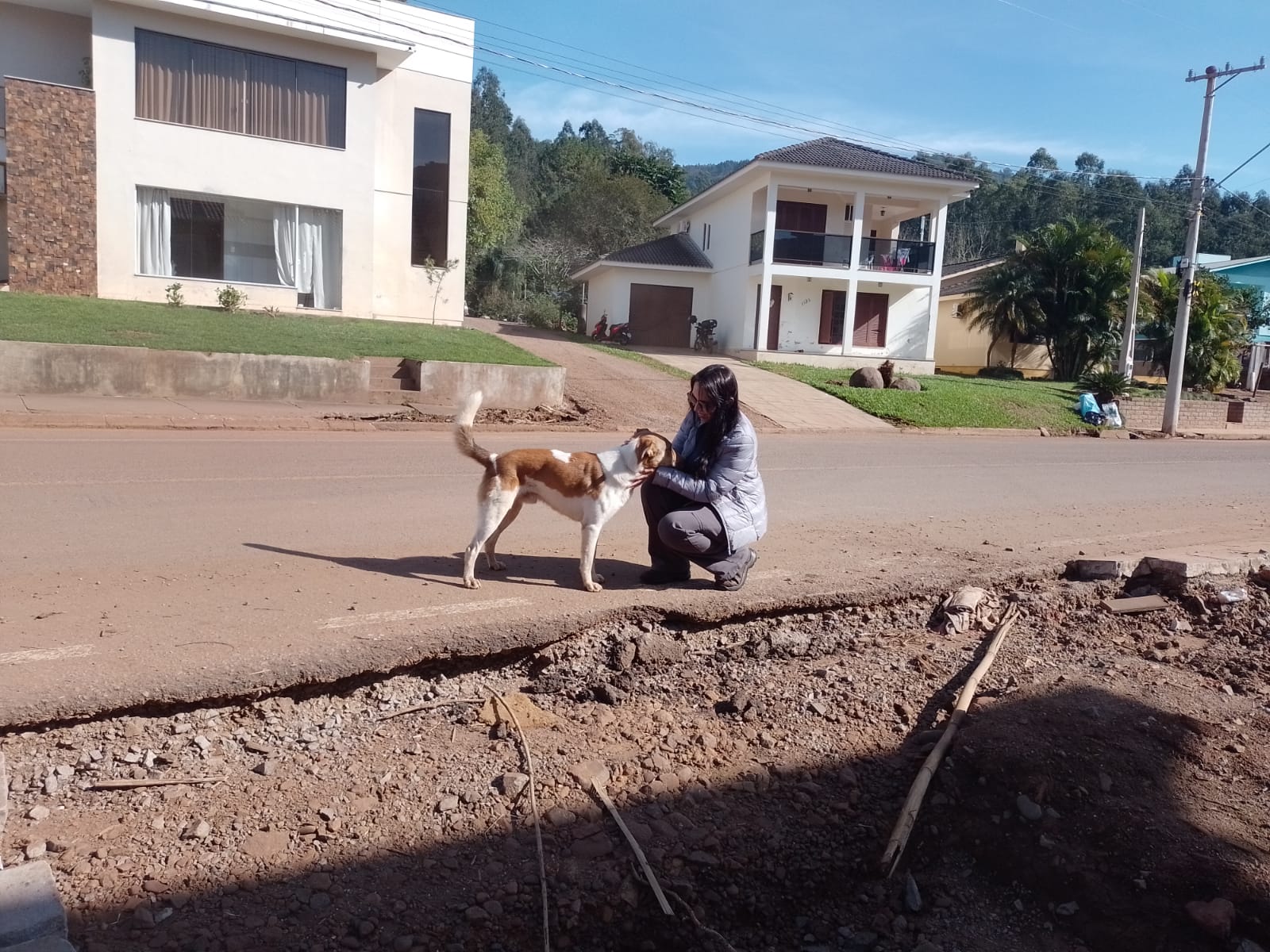 Mulher agachada faz carinho em cão de rua sem raça definida de porte médio, pelo curto nas cores branco e caramelo no Rio Grande do Sul.