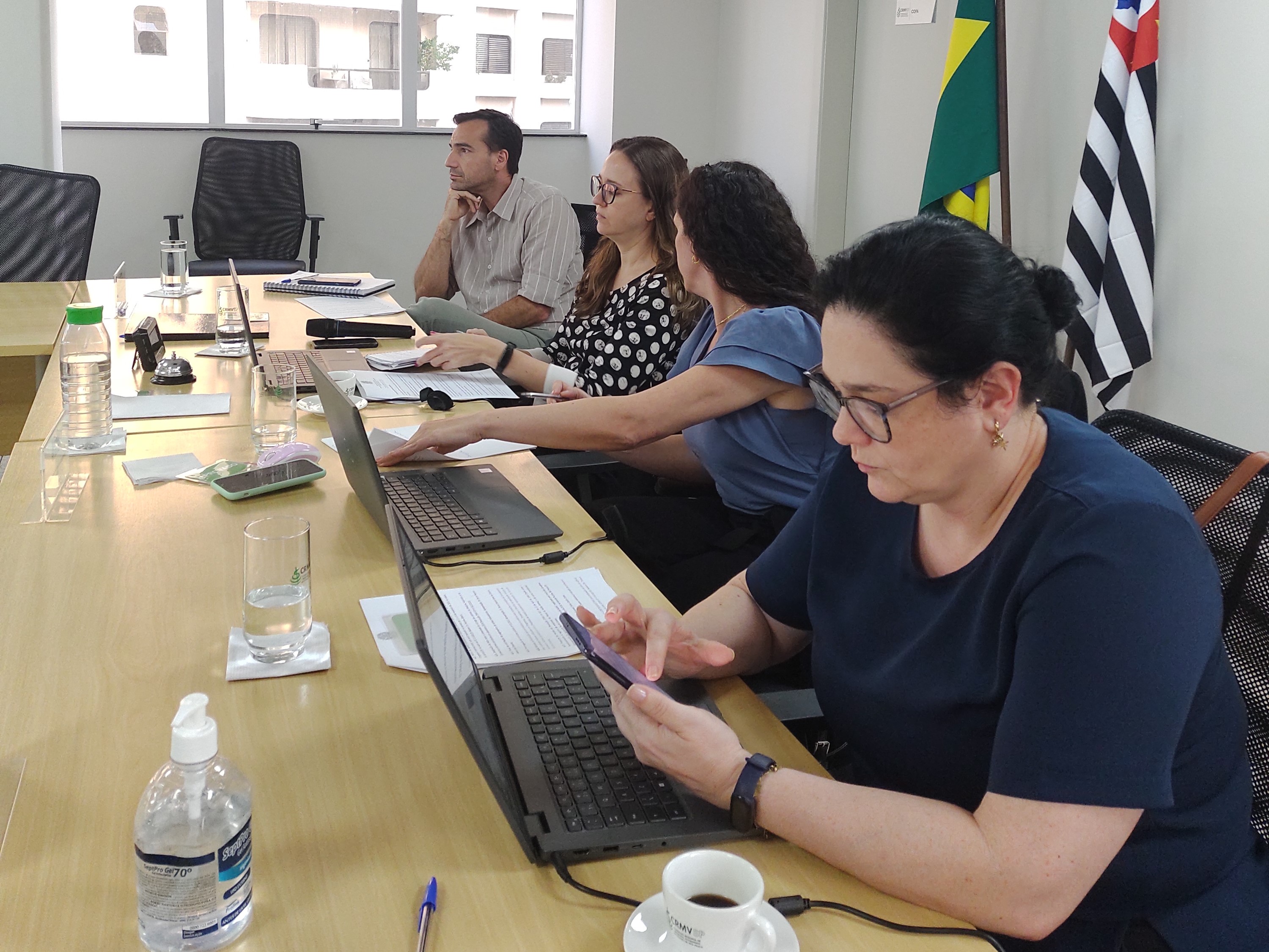 Rodrigo Mainardi, Daniela Chiebao, Carolina Filippos e Ana helena participando da reunião.