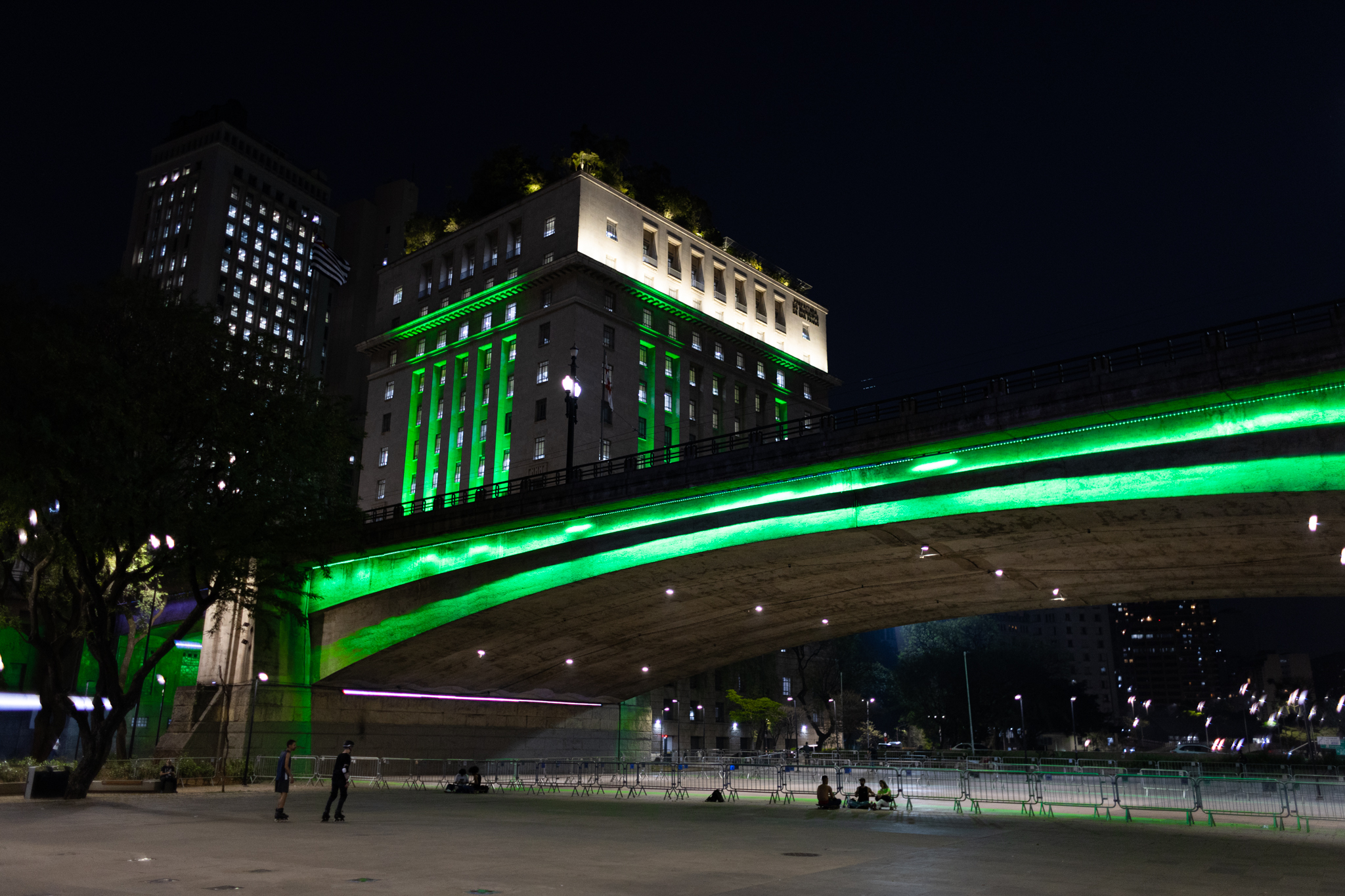 Imagem do Viaduto do Chá com o prédio da Prefeitura Municipal ao fundo, ambos iluminados de verde, em comemoração ao Dia do Médico-veterinário