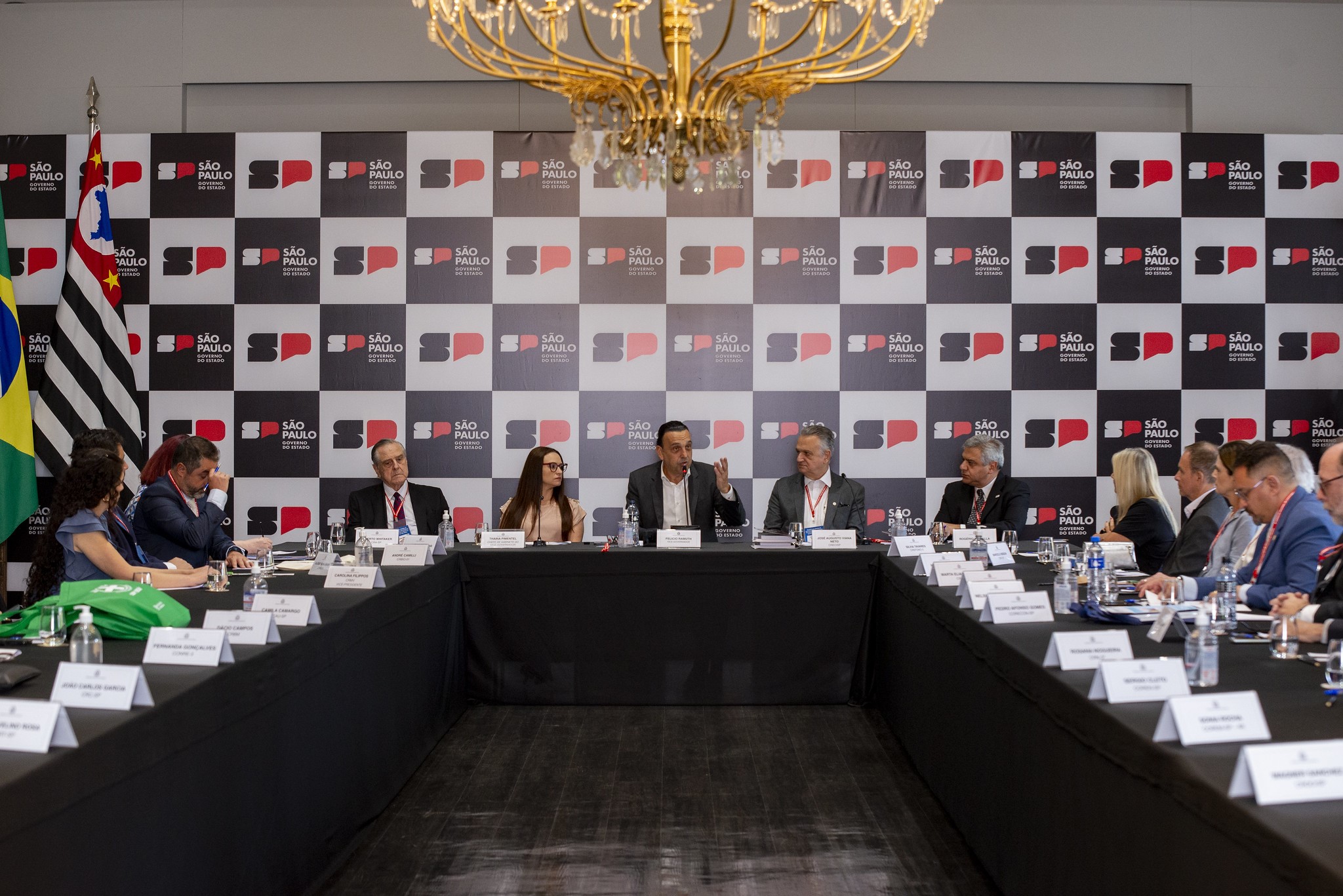 Pessoas sentadas ao entorno de uma mesa em formato "U". Ao fundo, painel com a identificação do governo de São Paulo e as bandeiras do Estado e do Brasil.