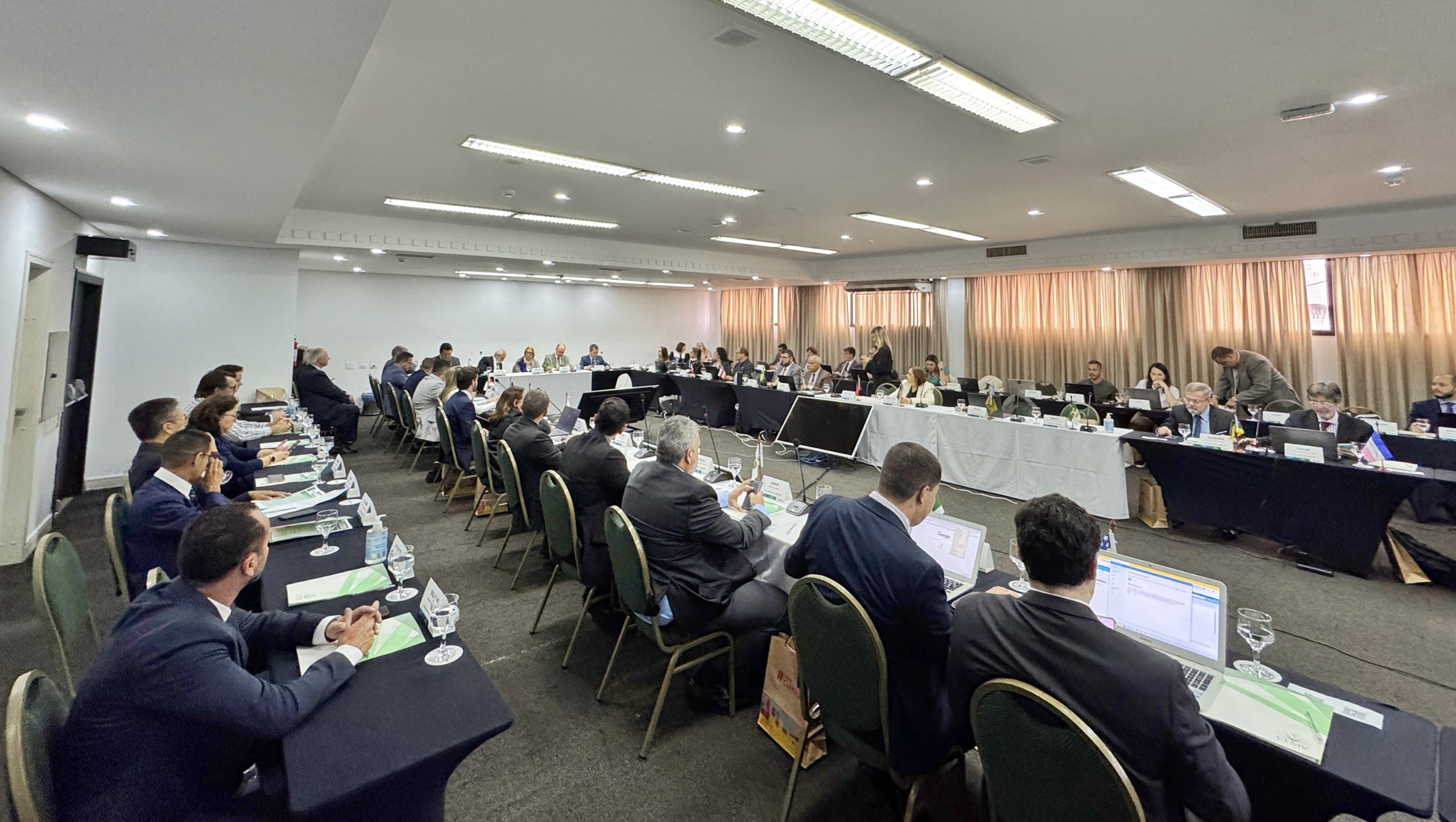 Membros do CFMV/CRMVs sentados na 4ºCNP.