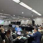 Membros do CFMV/CRMVs sentados na 4ºCNP.