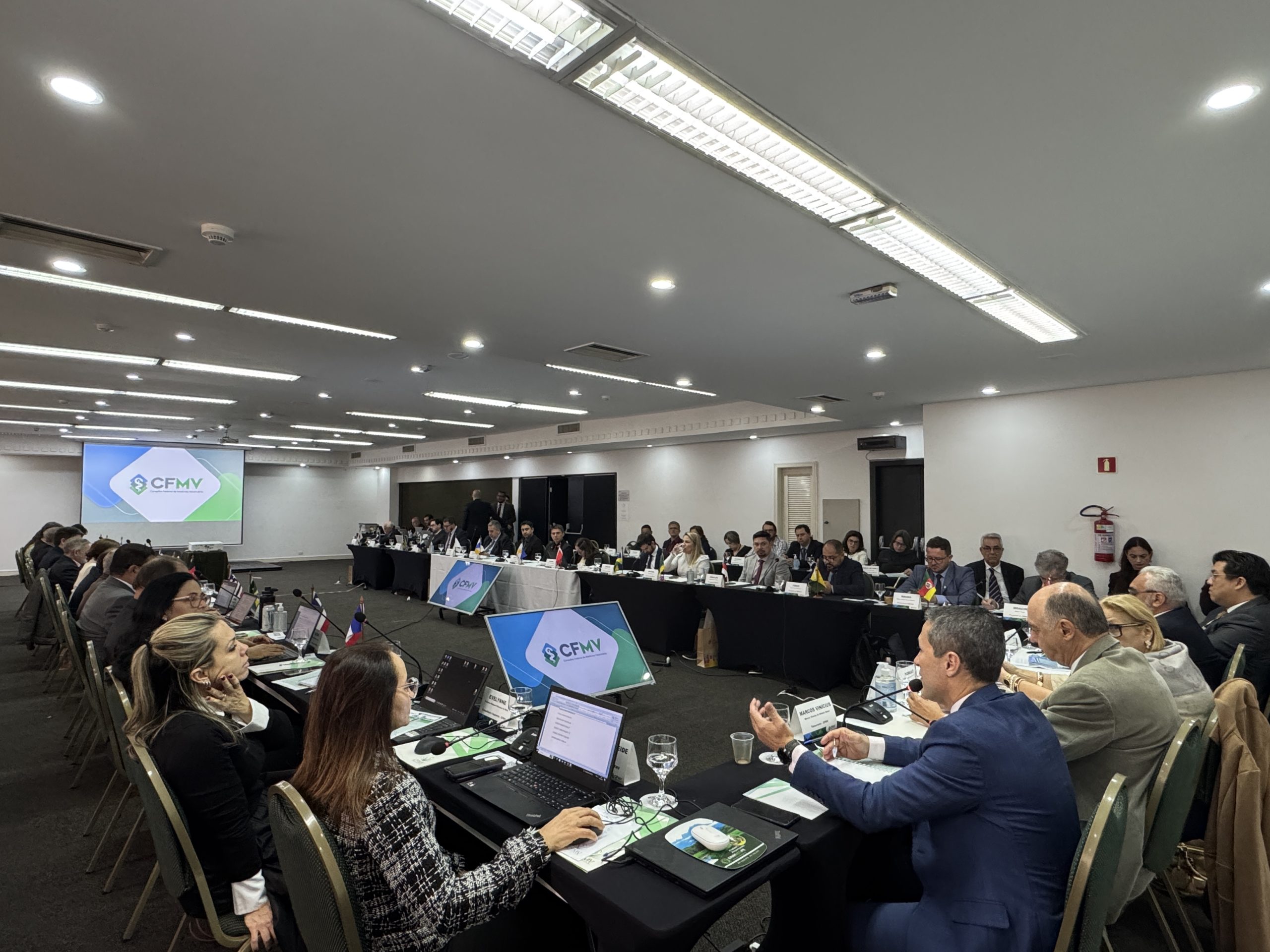 Membros do CFMV/CRMVs sentados na 4ºCNP.